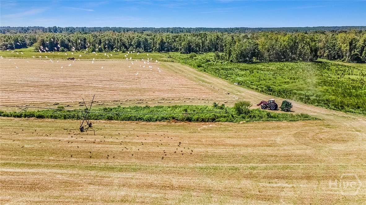 1110 W US Hwy 280, Reidsville, GA, 30453