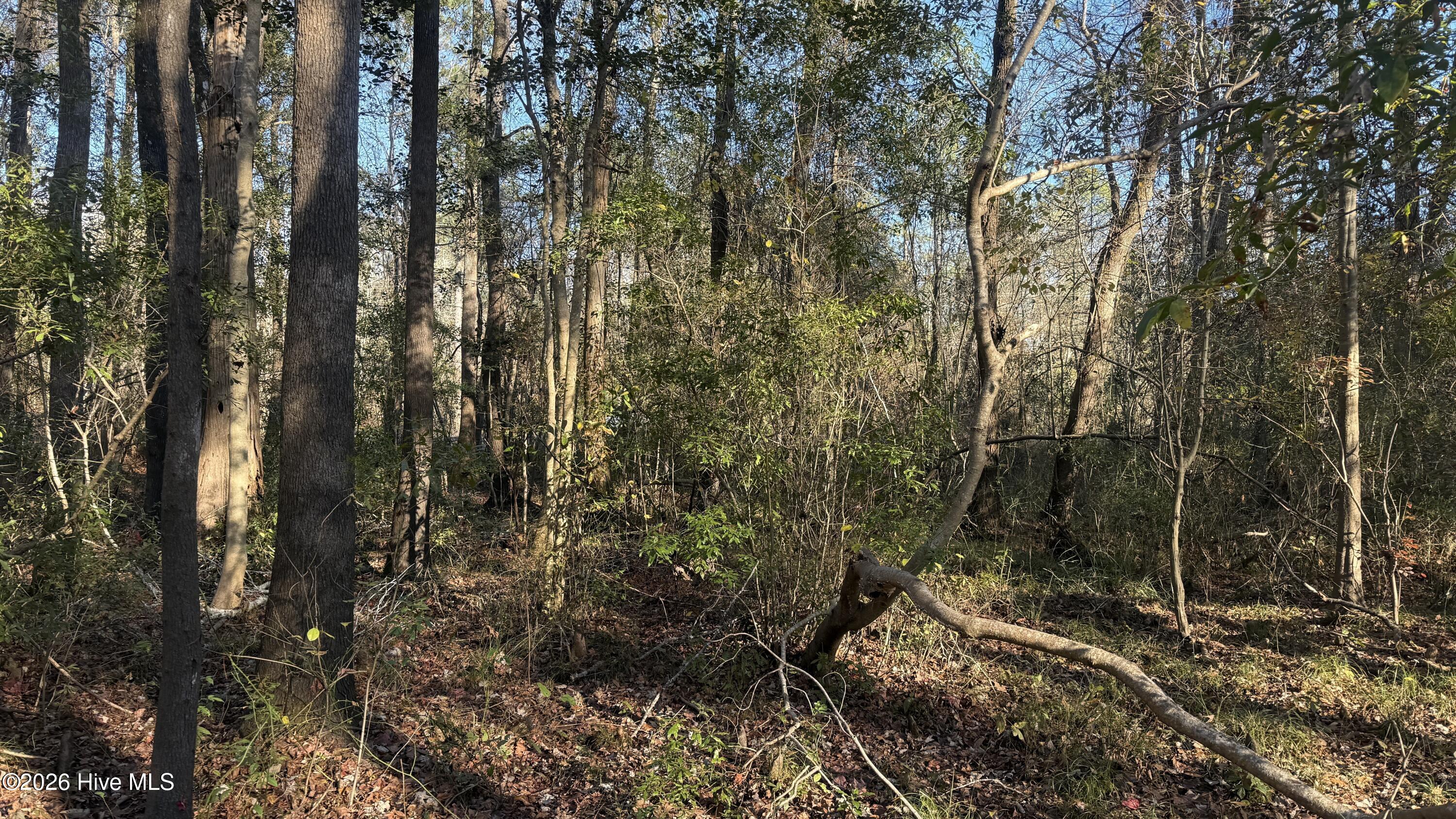 100556794 | Photo 35