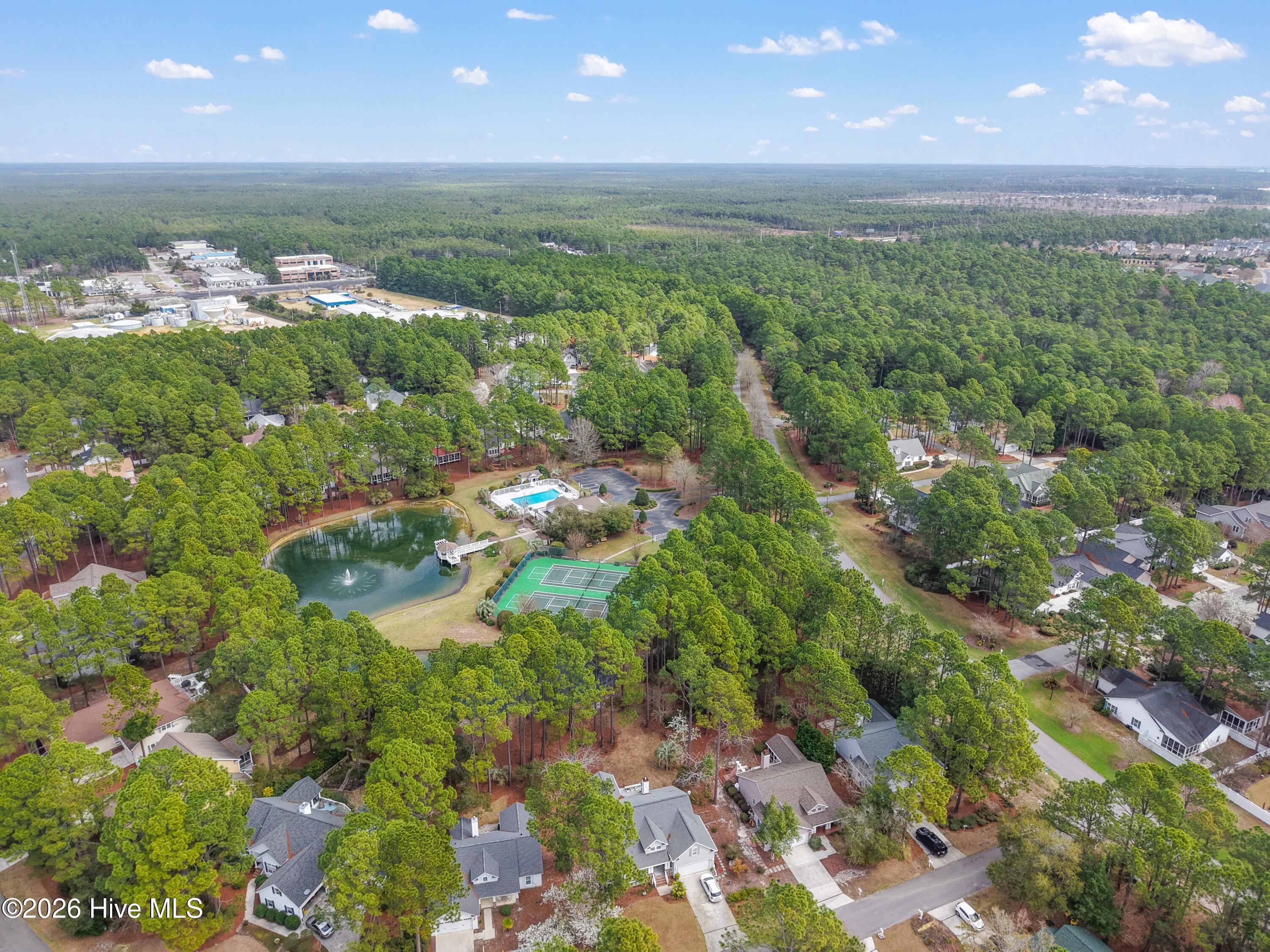 100559952 | Photo 50