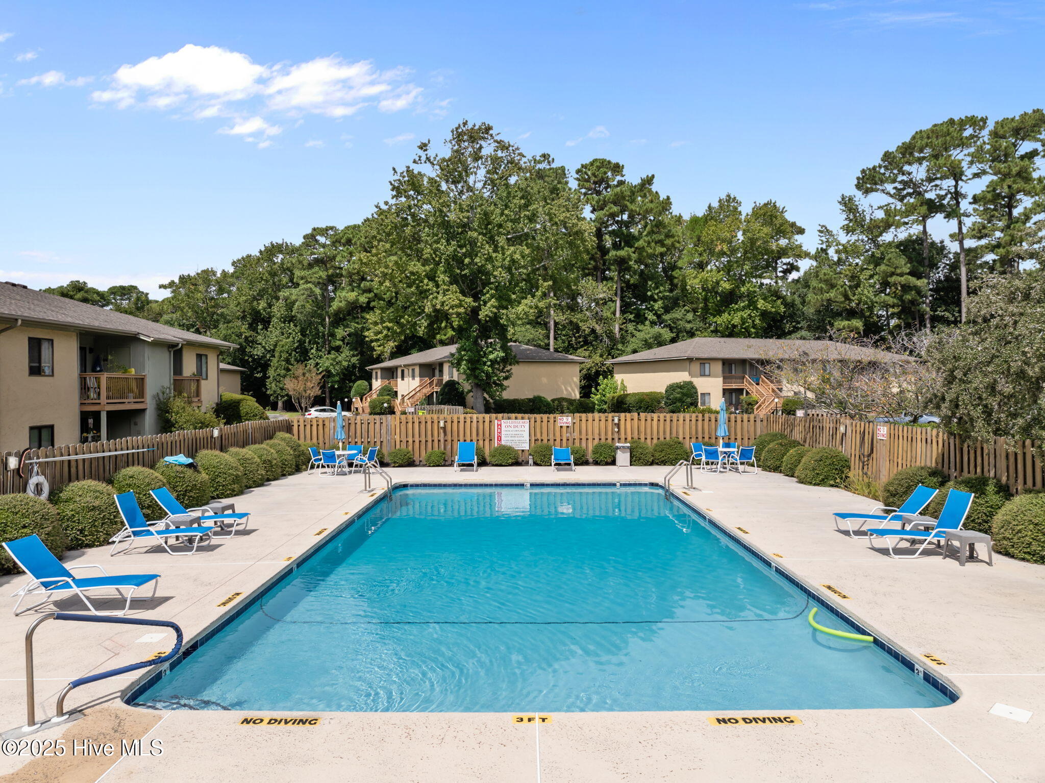 100529850 | Photo 49