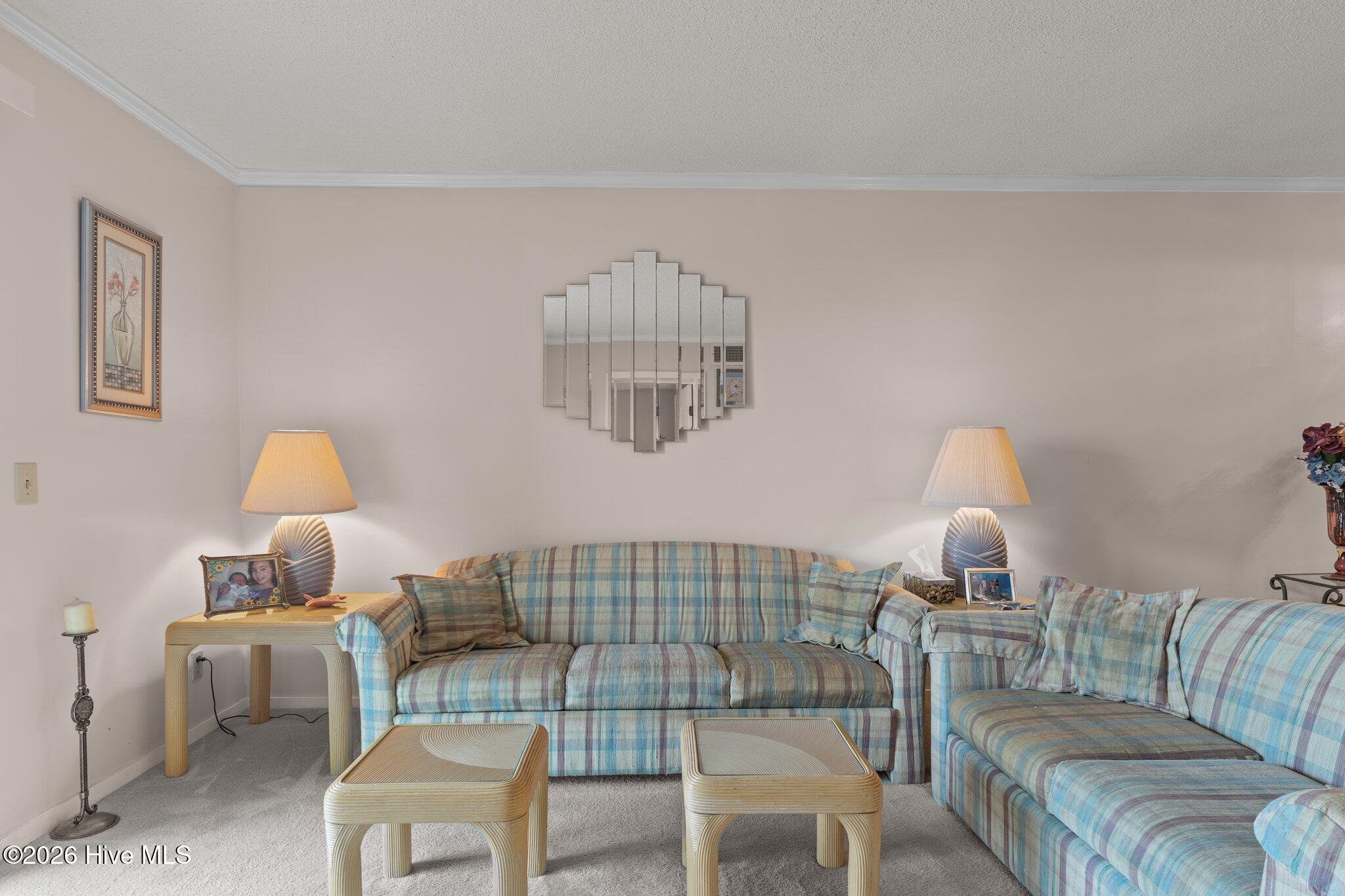 100552917 | Photo 11