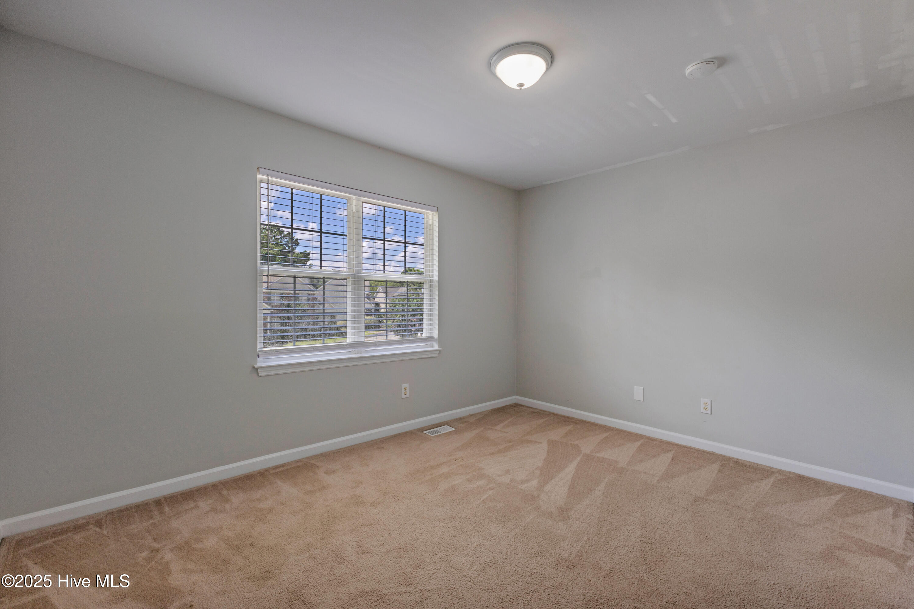 100514593 | Photo 26