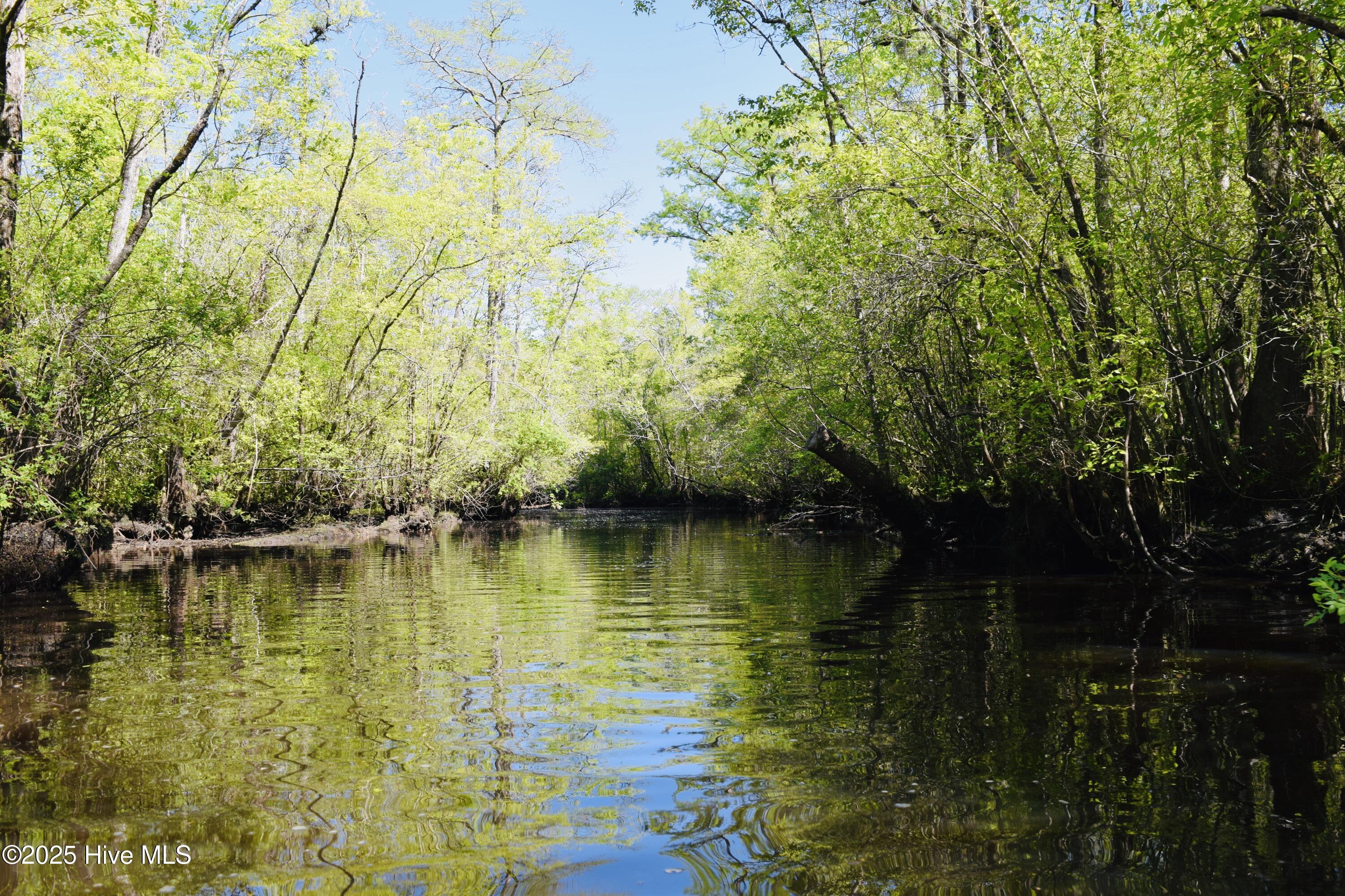 100502660 | Photo 48