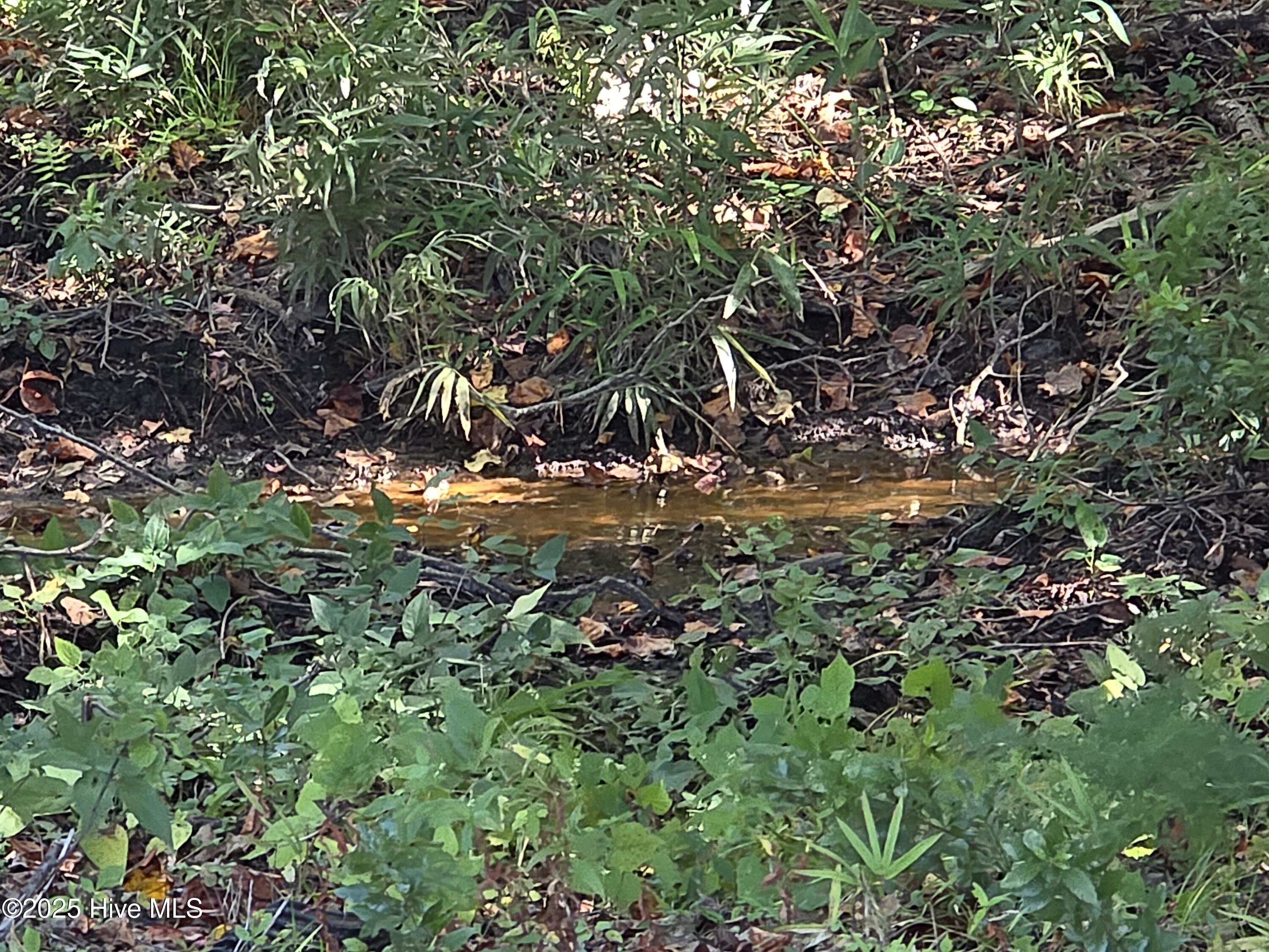 100564274 | Photo 35