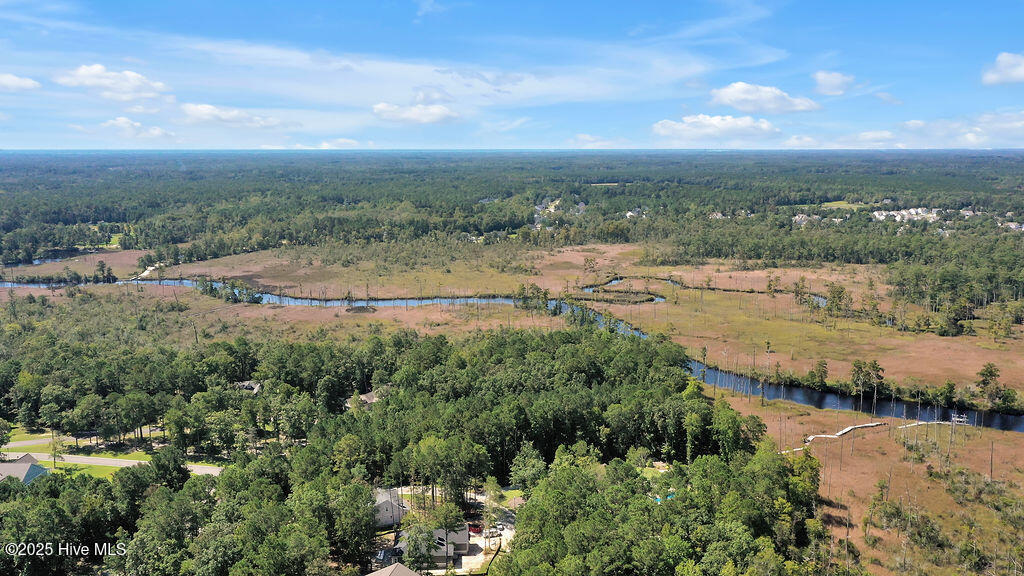 100527669 | Photo 17