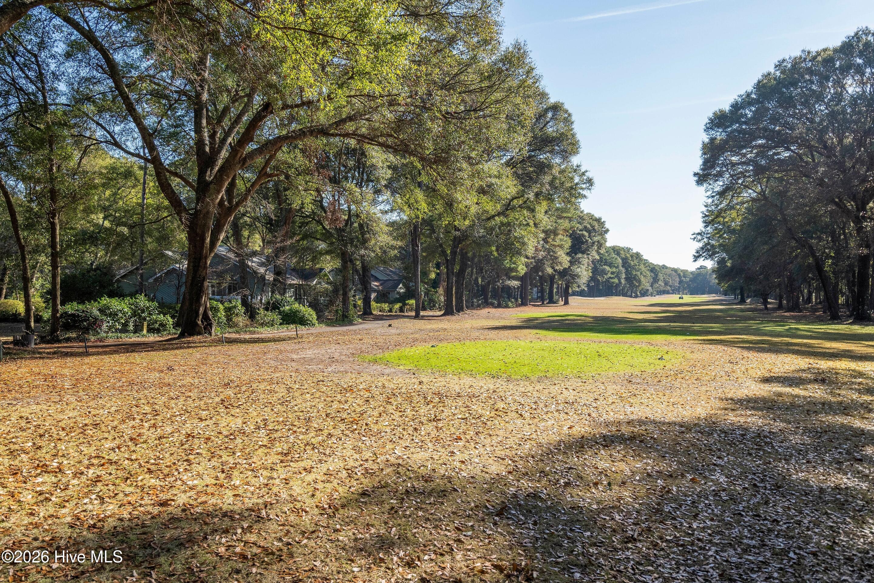 100556629 | Photo 75