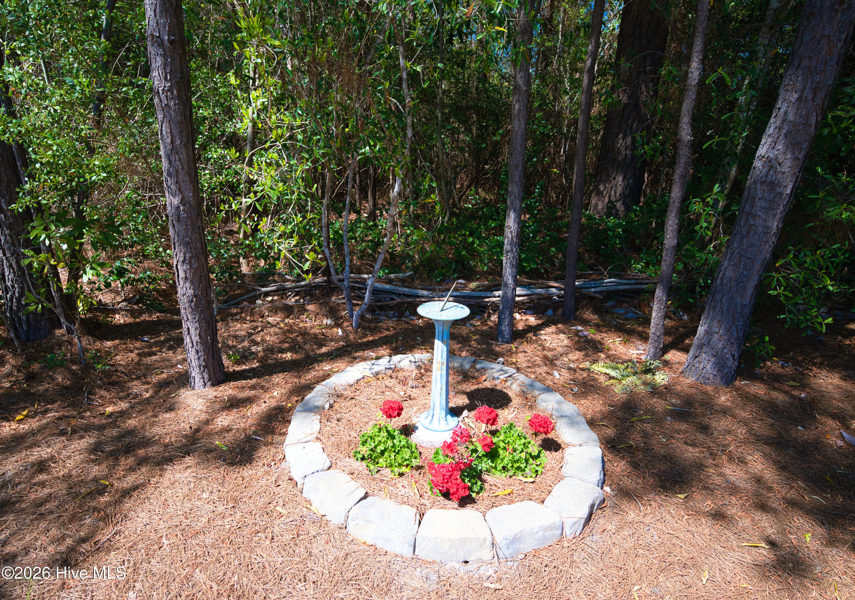 100567363 | Photo 48