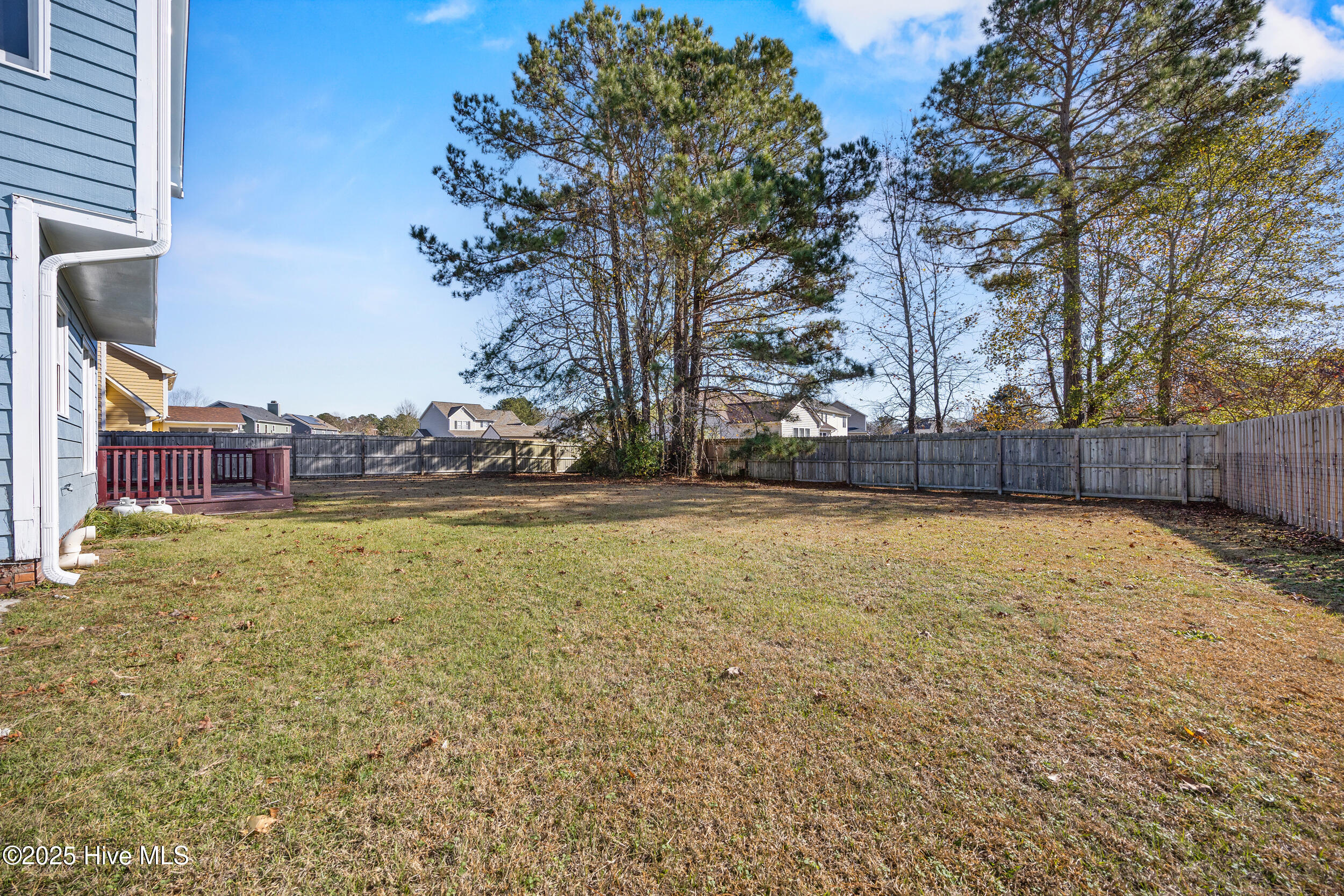 100545439 | Photo 39