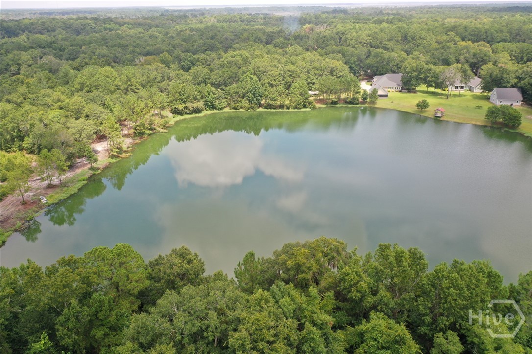 2nd image of 1954 Oak Level Rd, Richmond Hill, GA 31324 | MLS# SA362173
