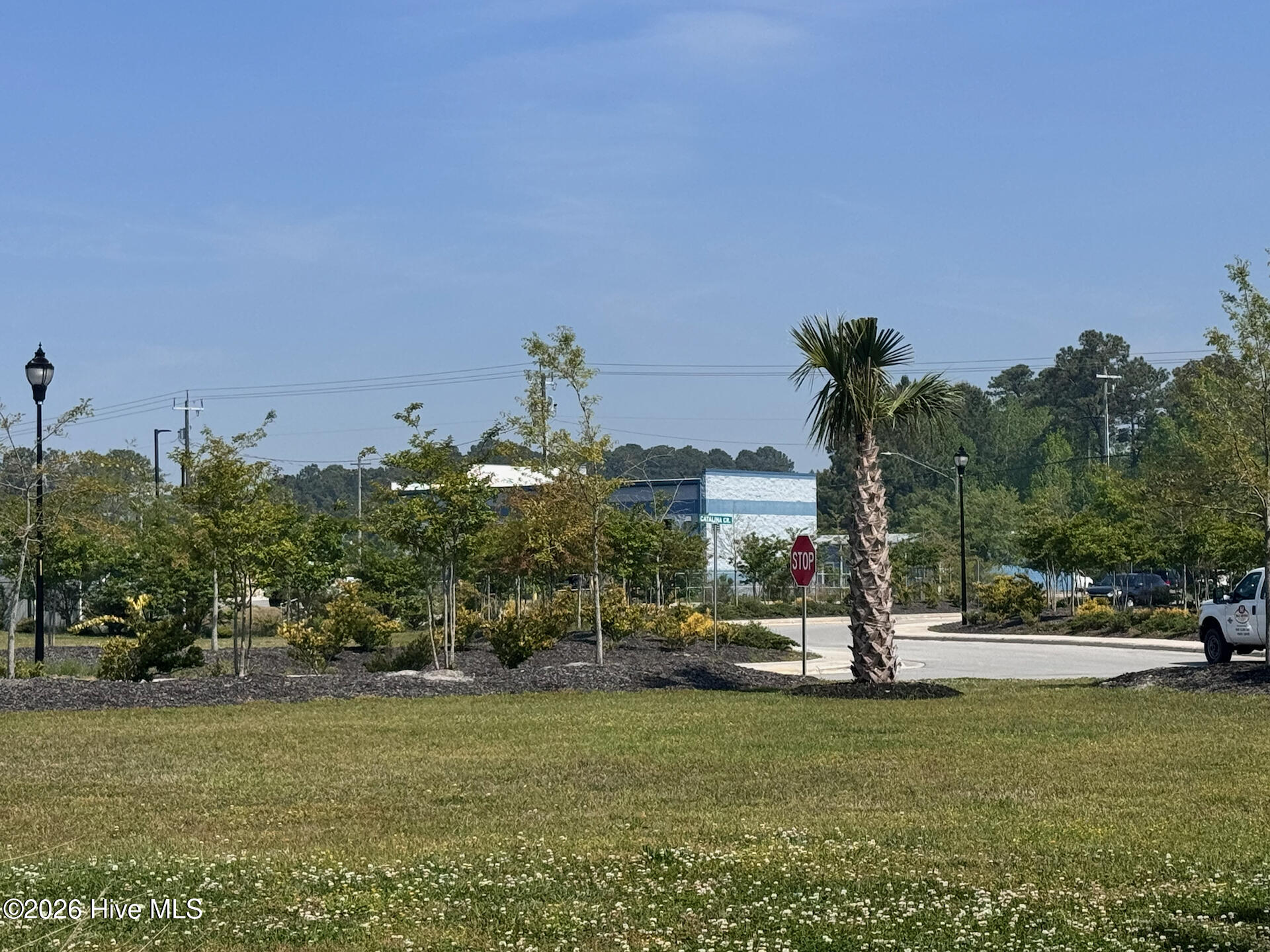 100567509 | Photo 36