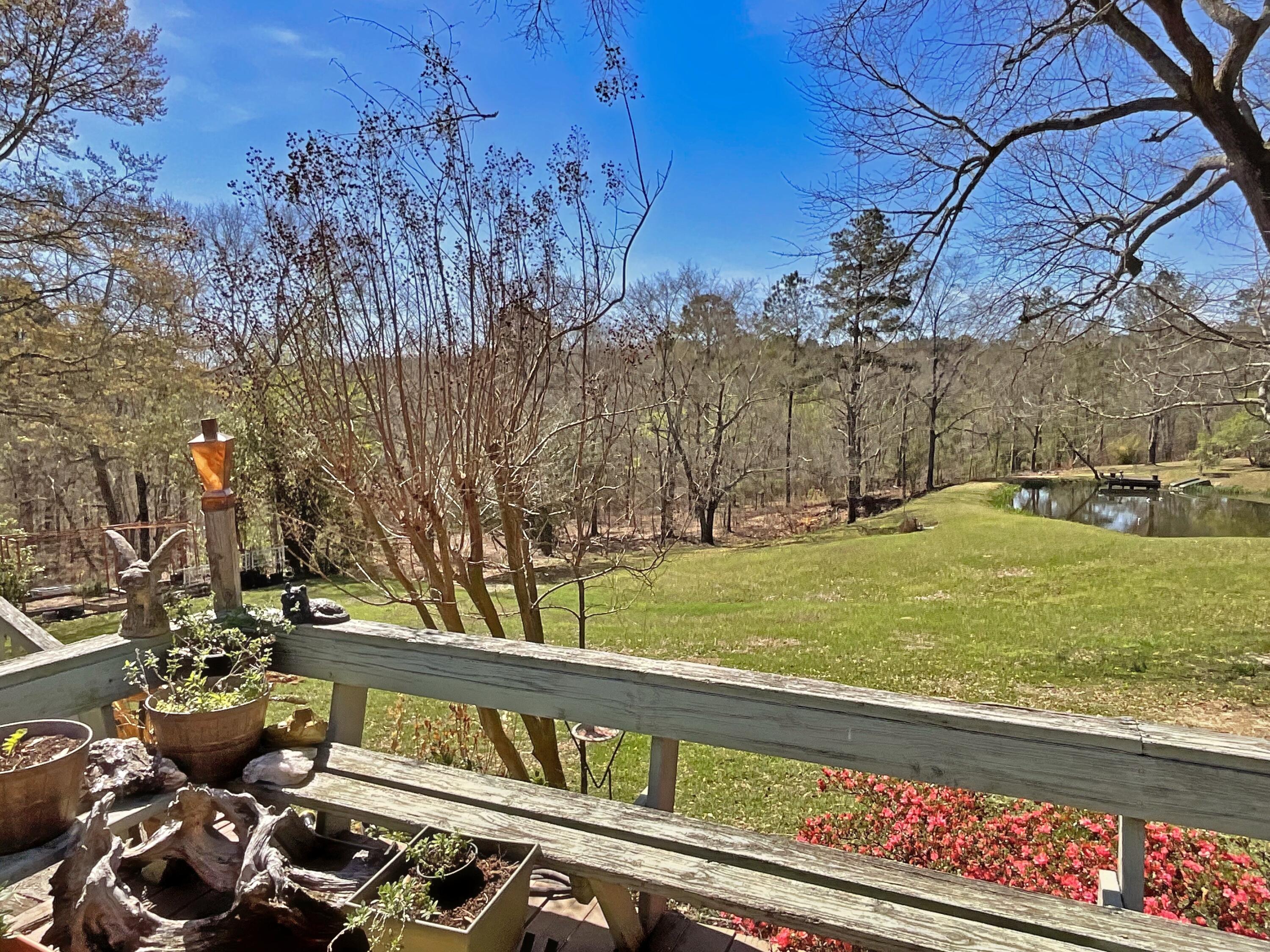 Backyard View