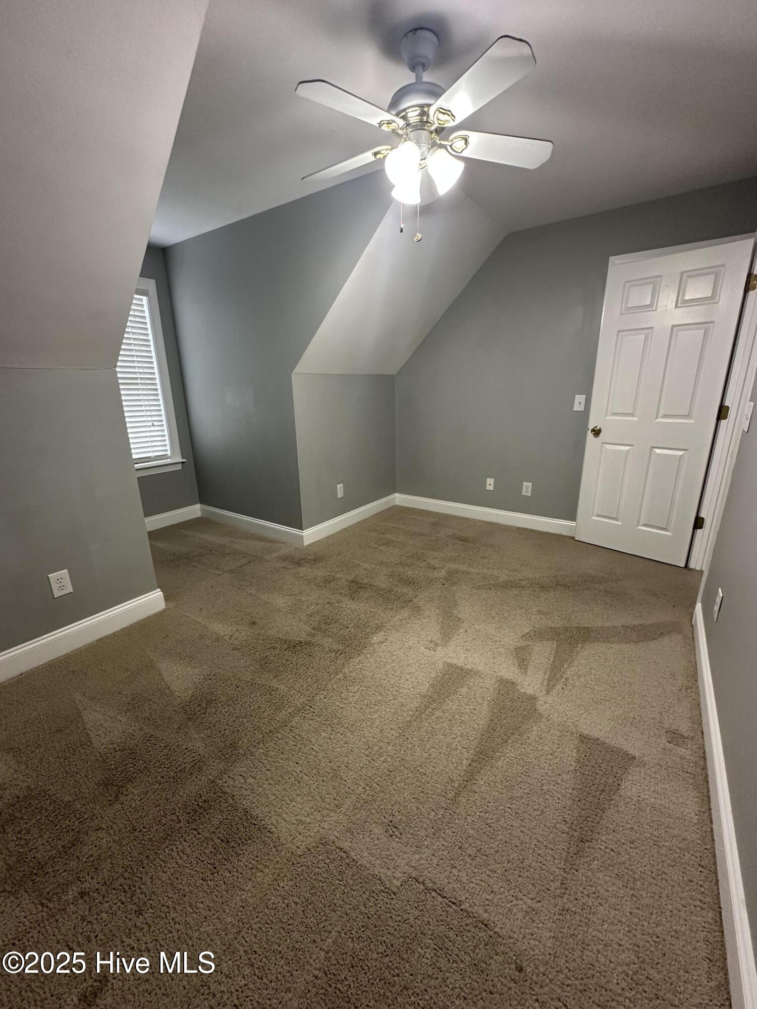 100524744 | Photo 30