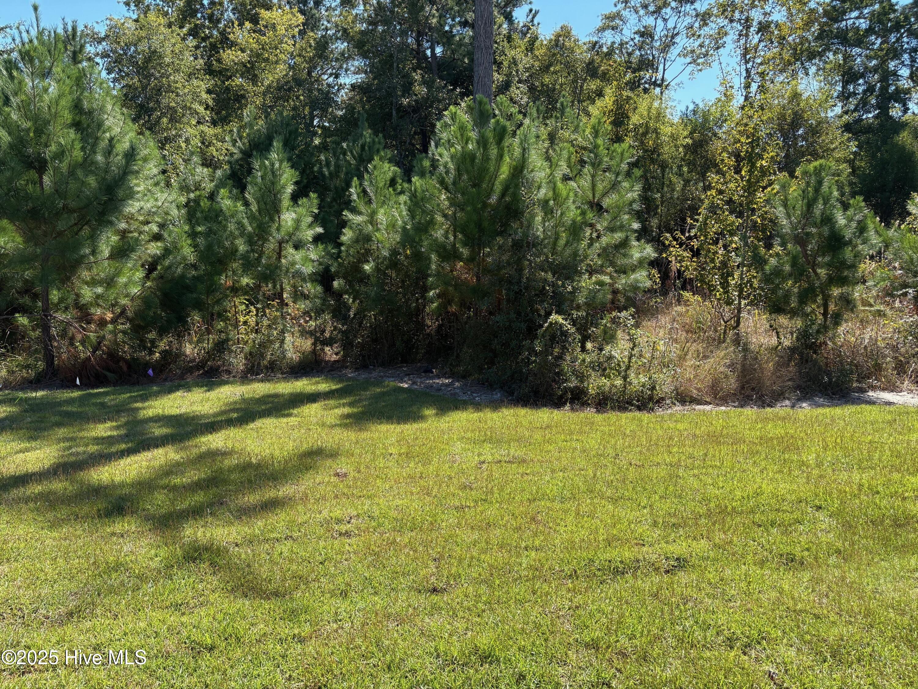 Homes for sale in Ocean Isle Beach, NC | 333 Parkington Ln #91 A, Ocean Isle Beach, NC 28469 | MLS# 100536957