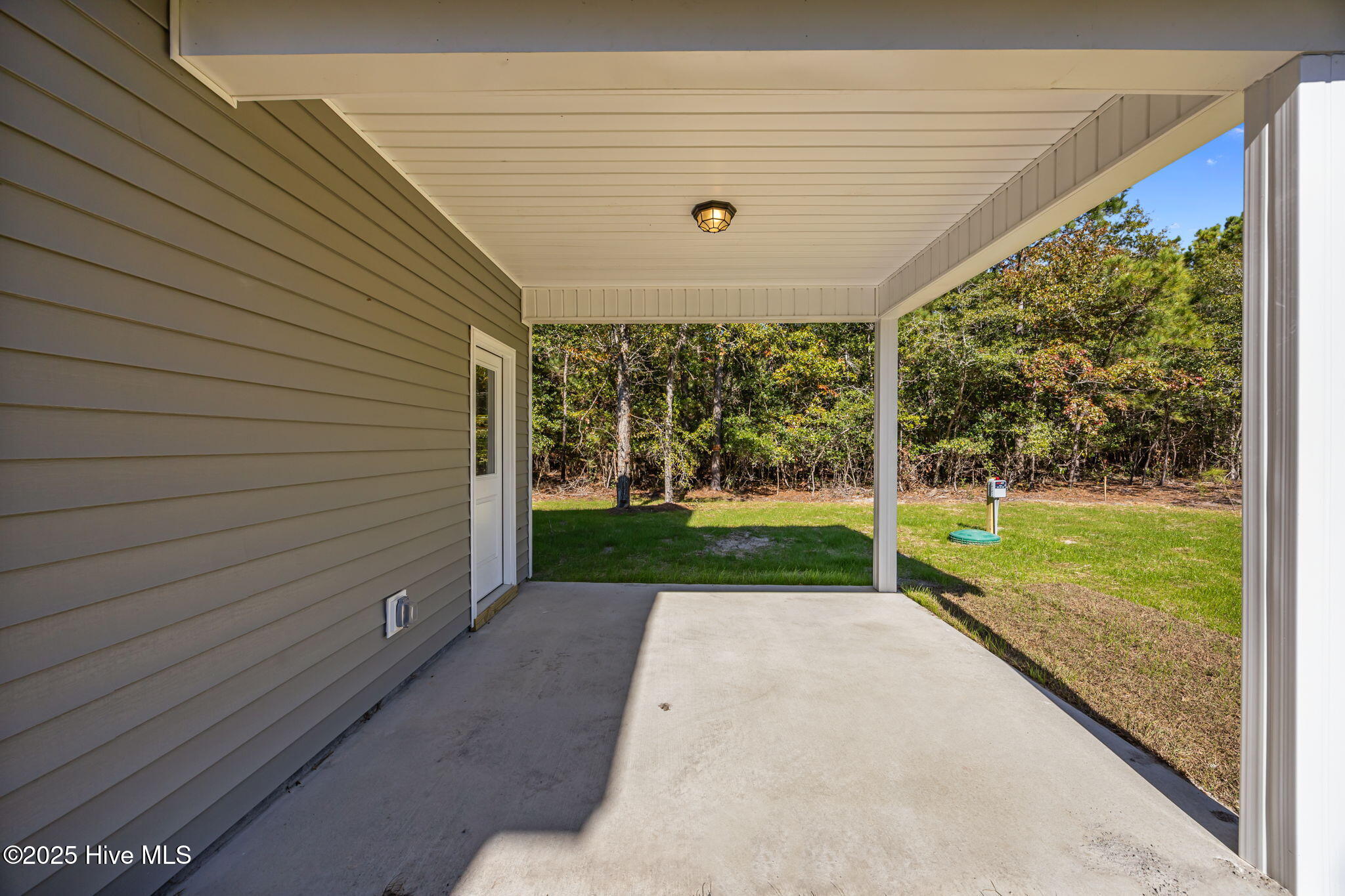 100509349 | Photo 45