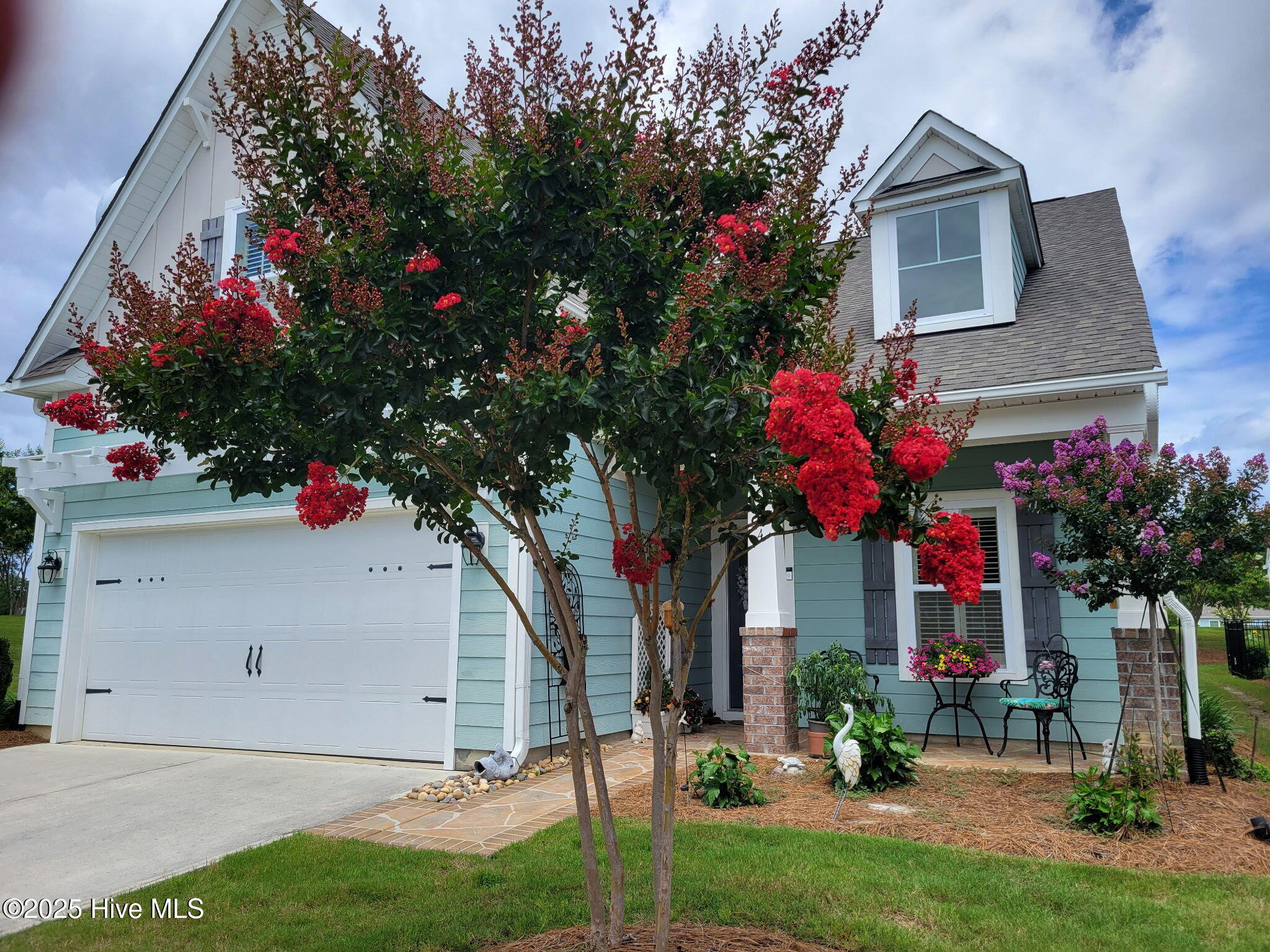 100533890 | Photo 39