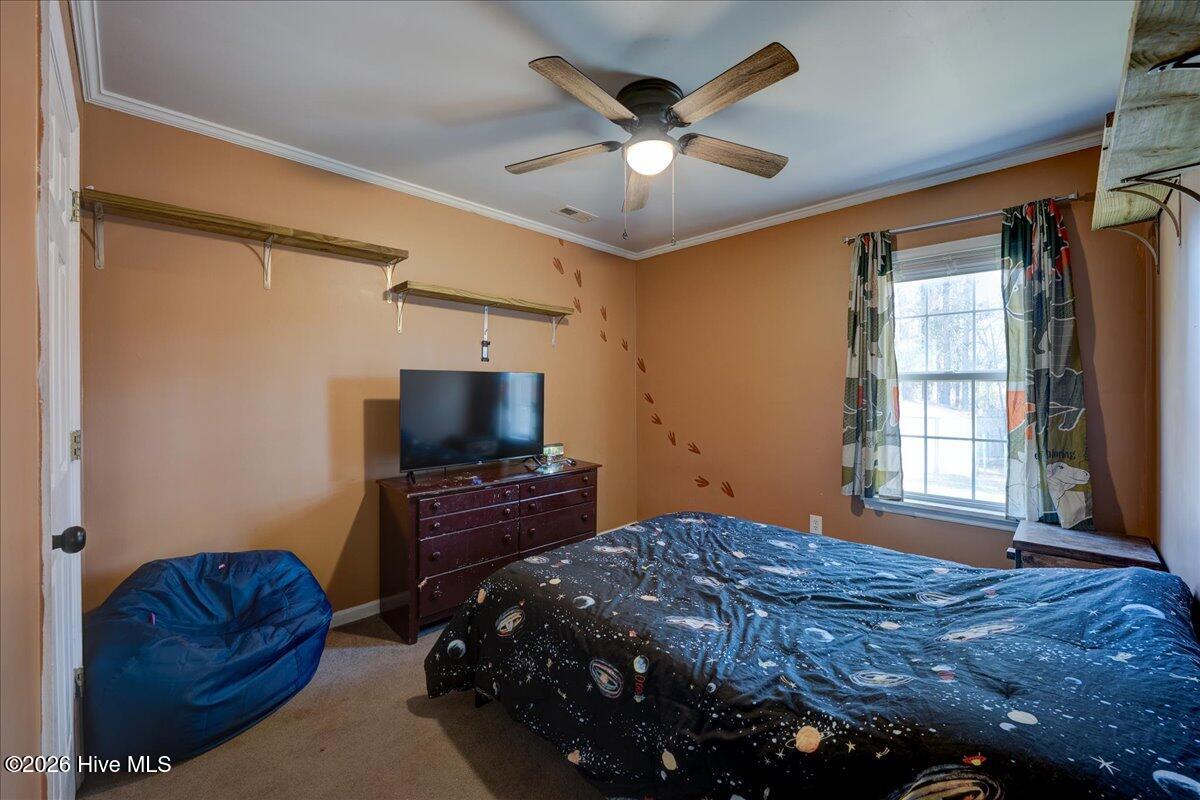 100548576 | Photo 19