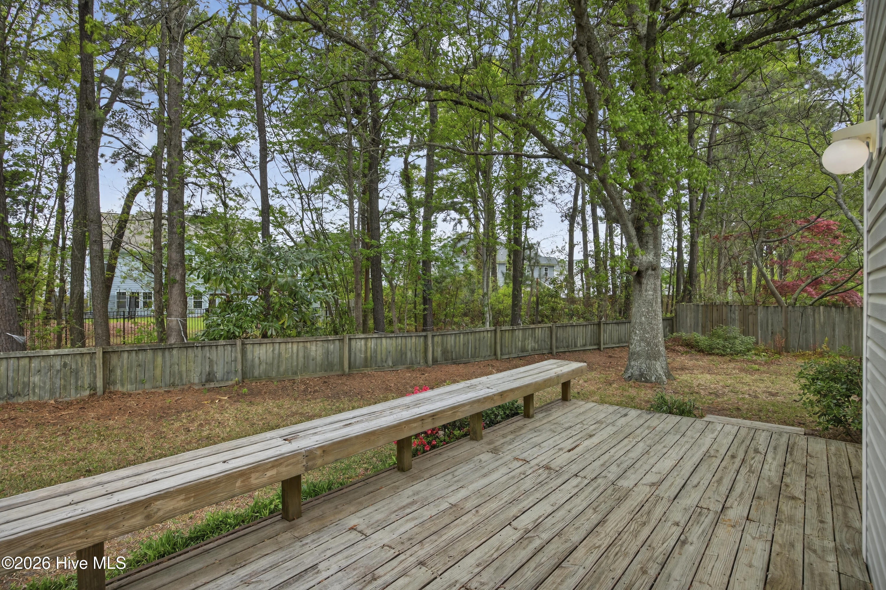 100565929 | Photo 11