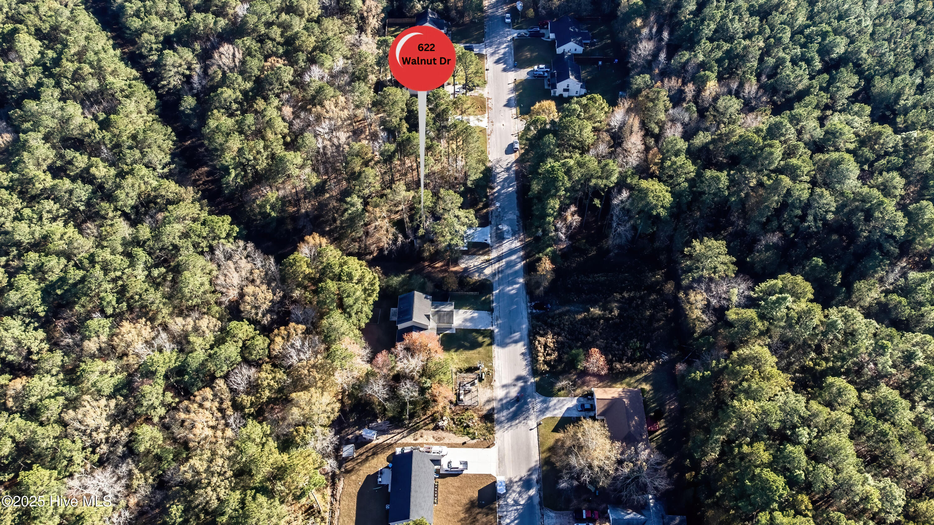 100538278 | Photo 50