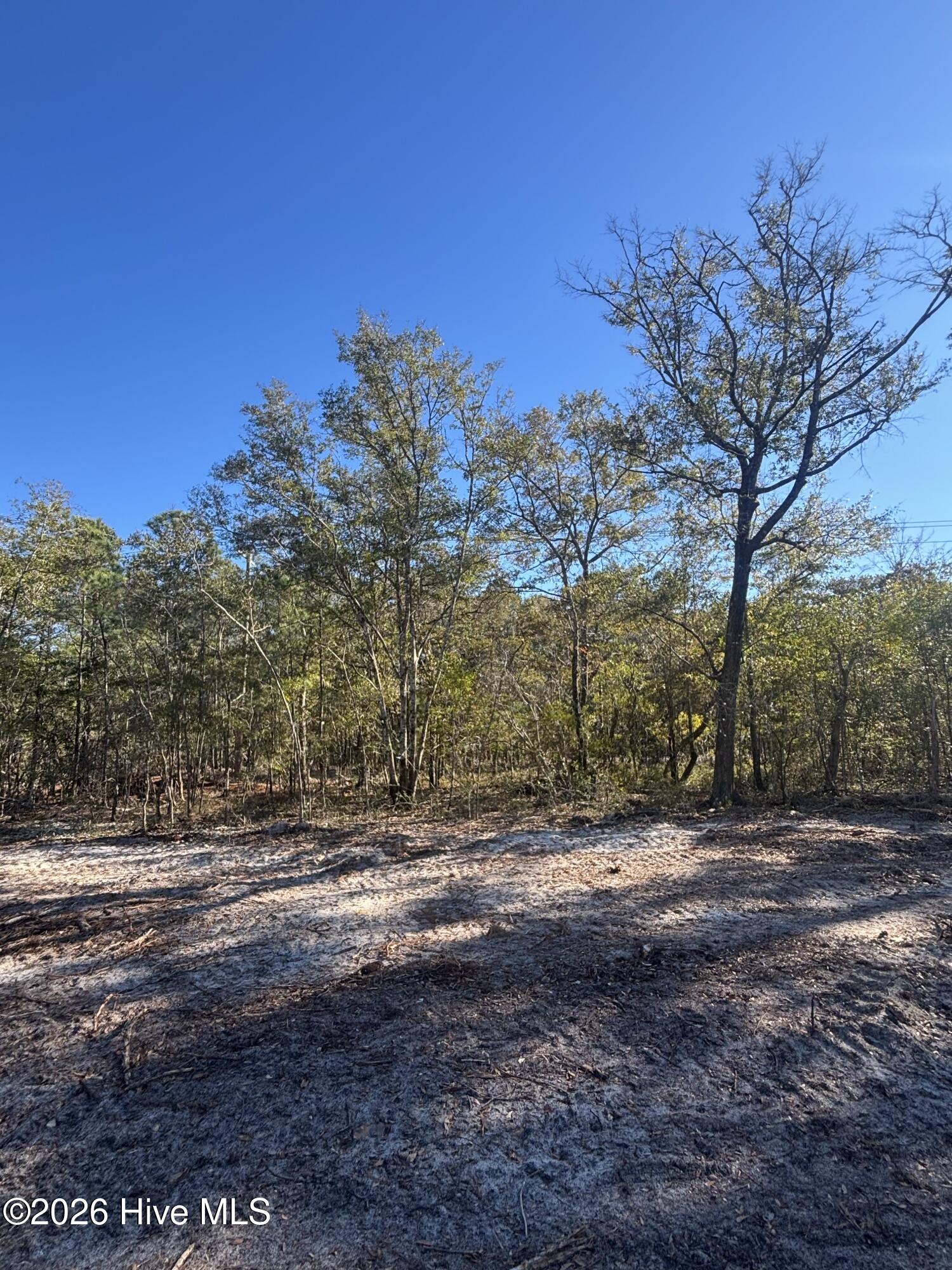 Carolina Barrier Islands
