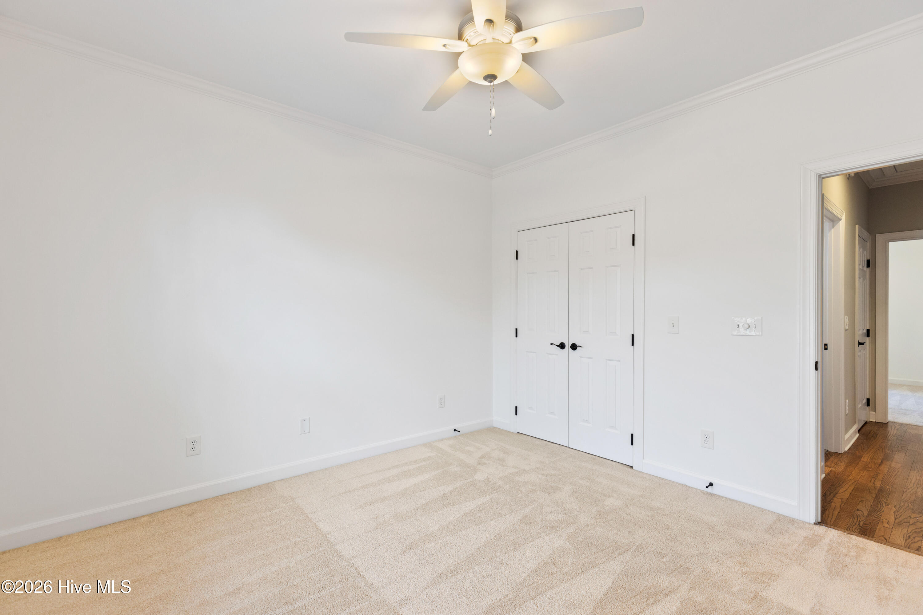 100560916 | Photo 51