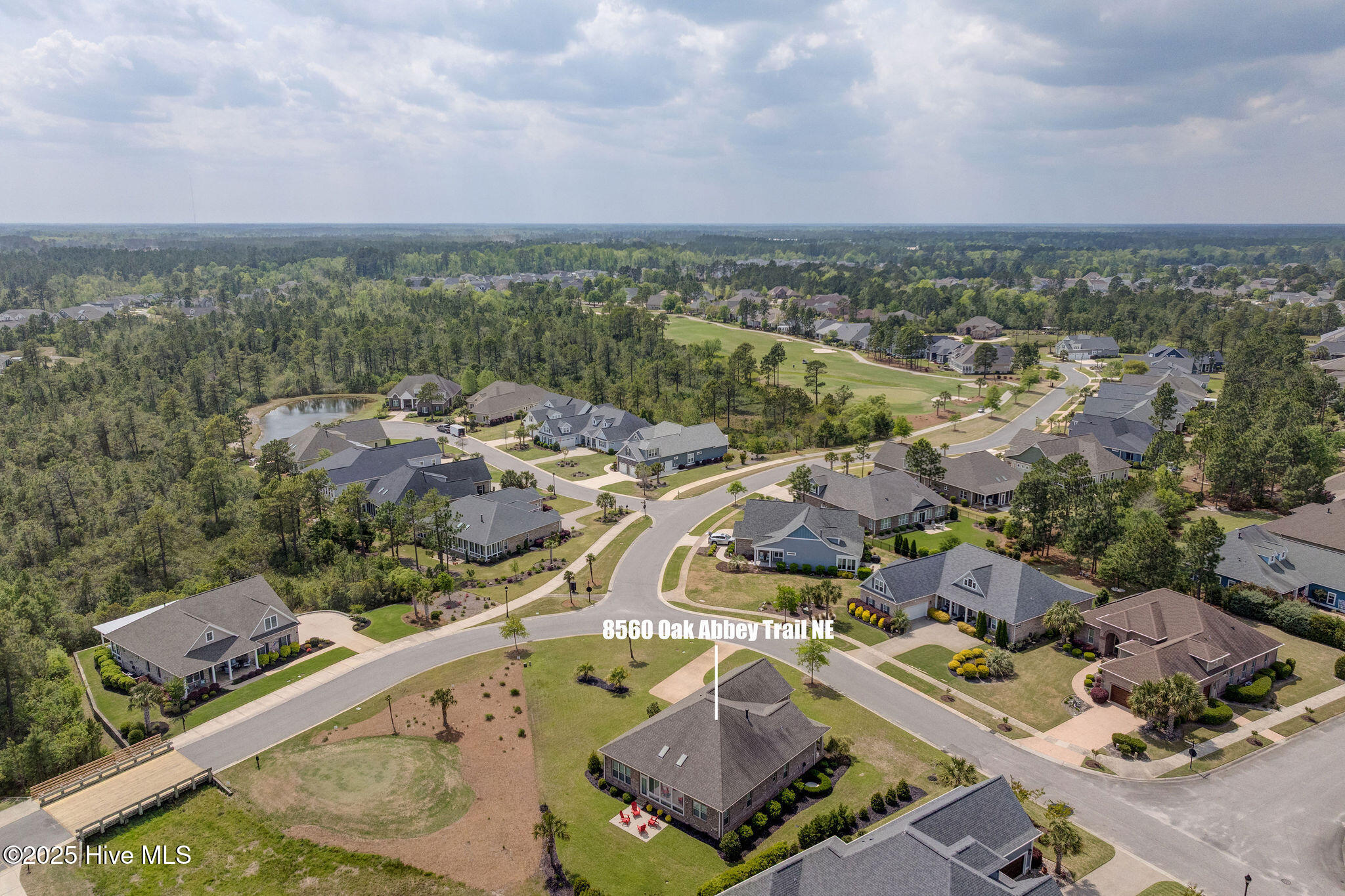 100549436 | Photo 51