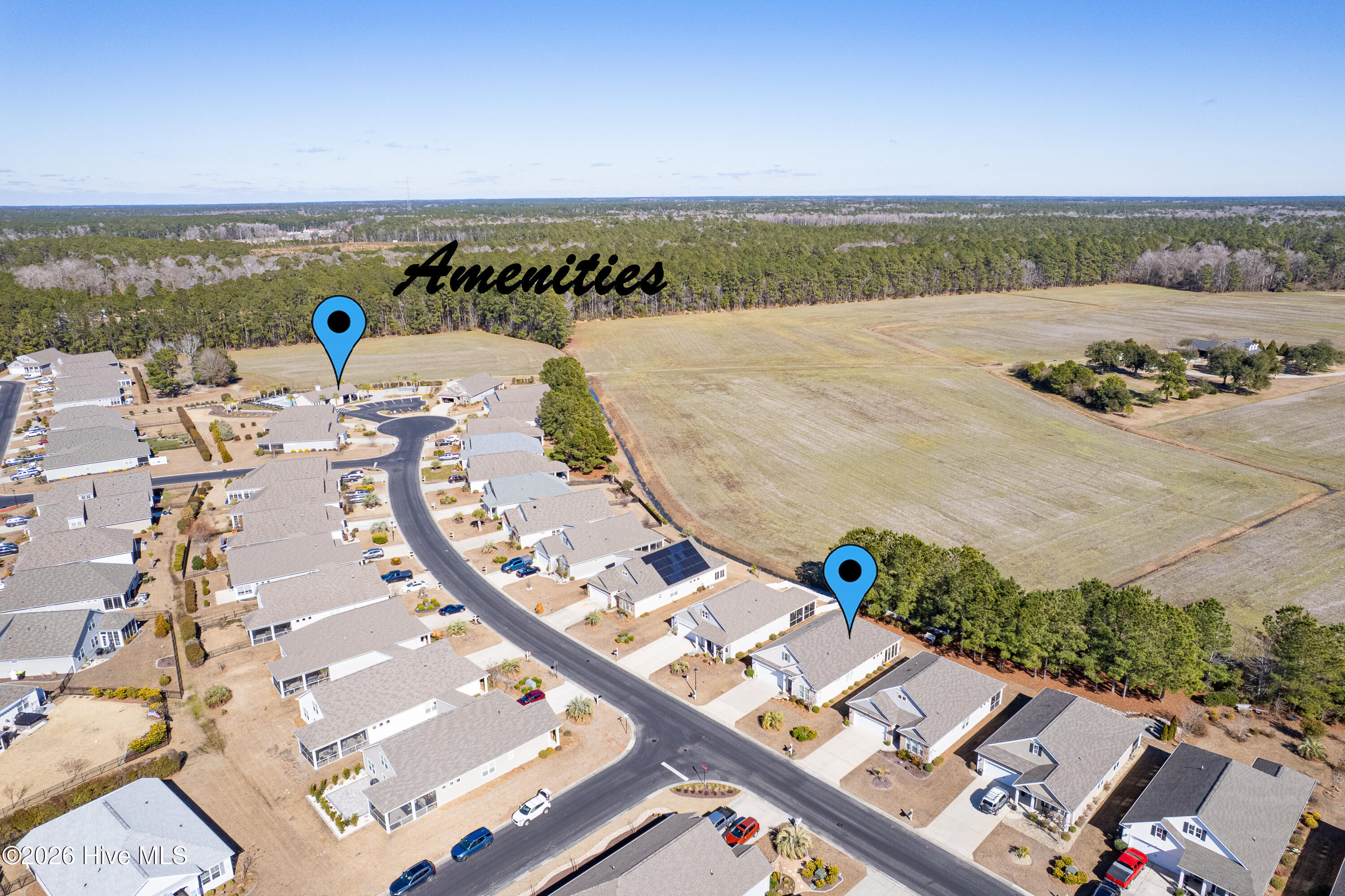 100555117 | Photo 50