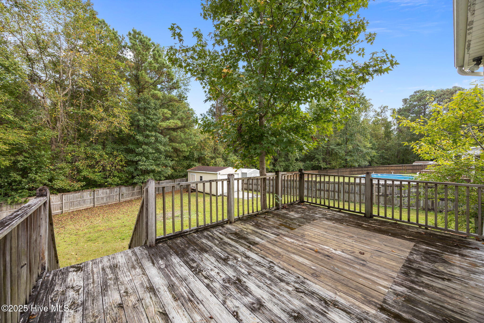 100534053 | Photo 53