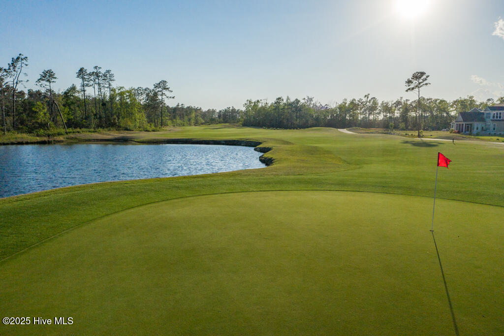 100527898 | Photo 99