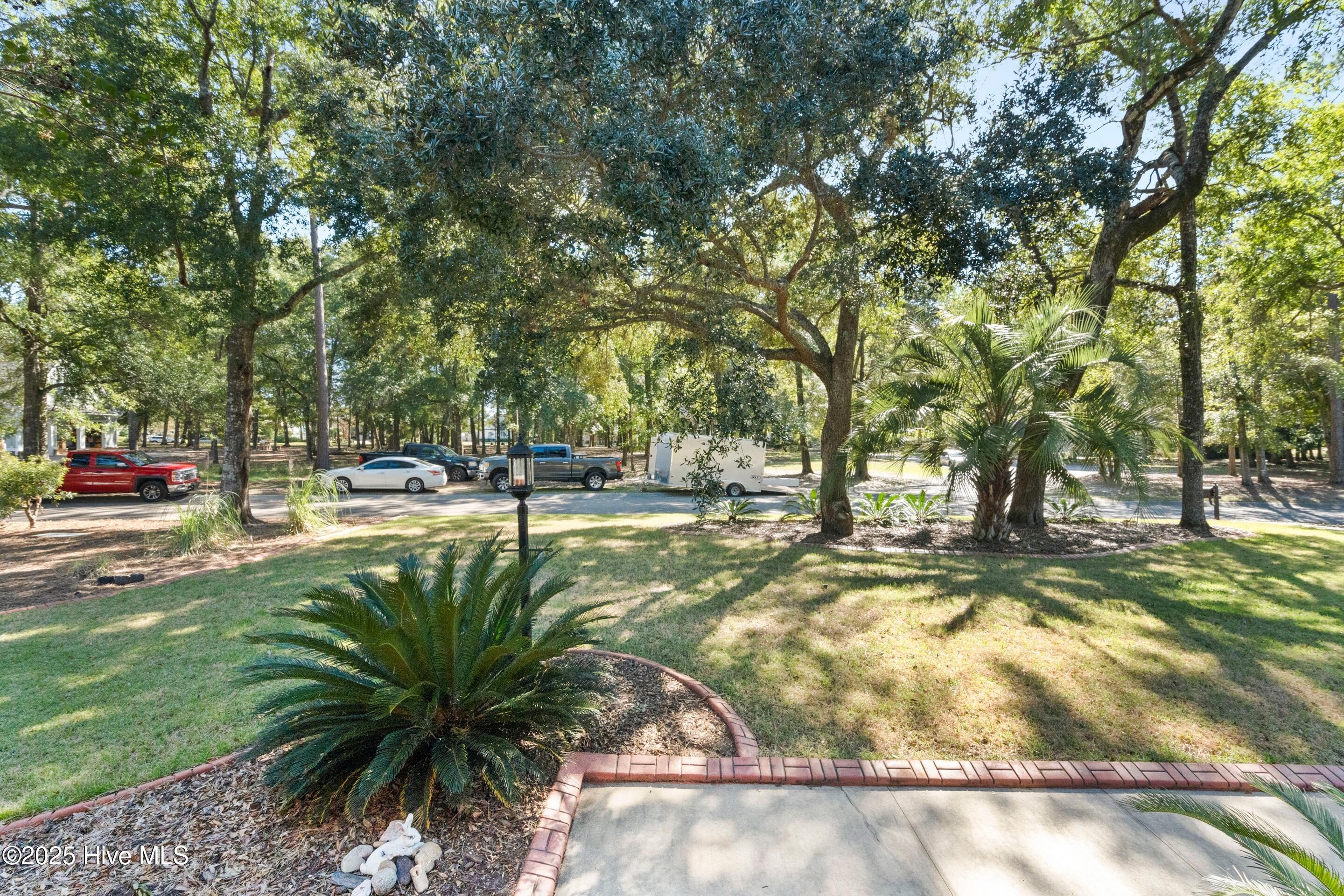 100538310 | Photo 11