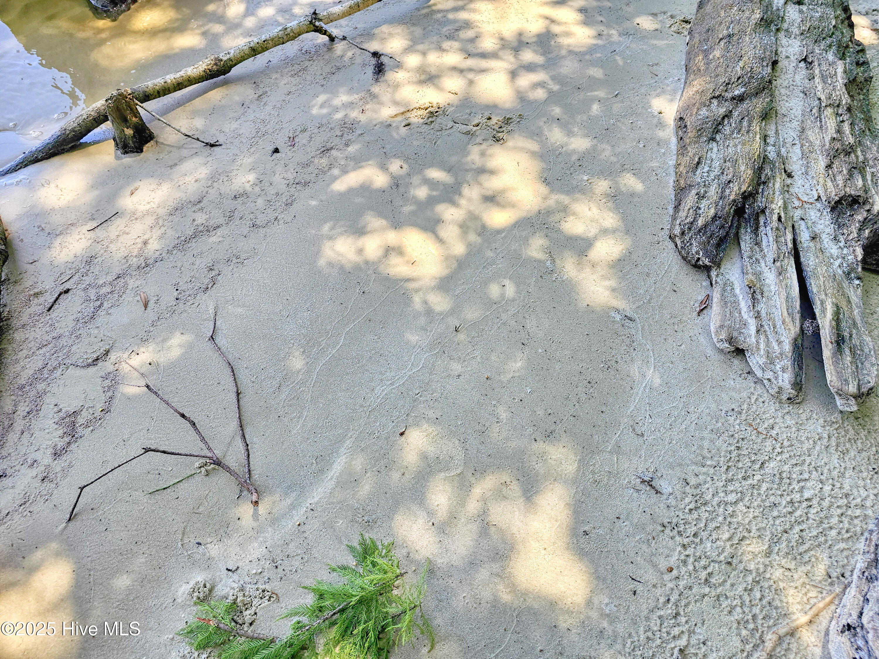 9, 10, 11 Peninsula Shores Way, Hertford, NC, 27944