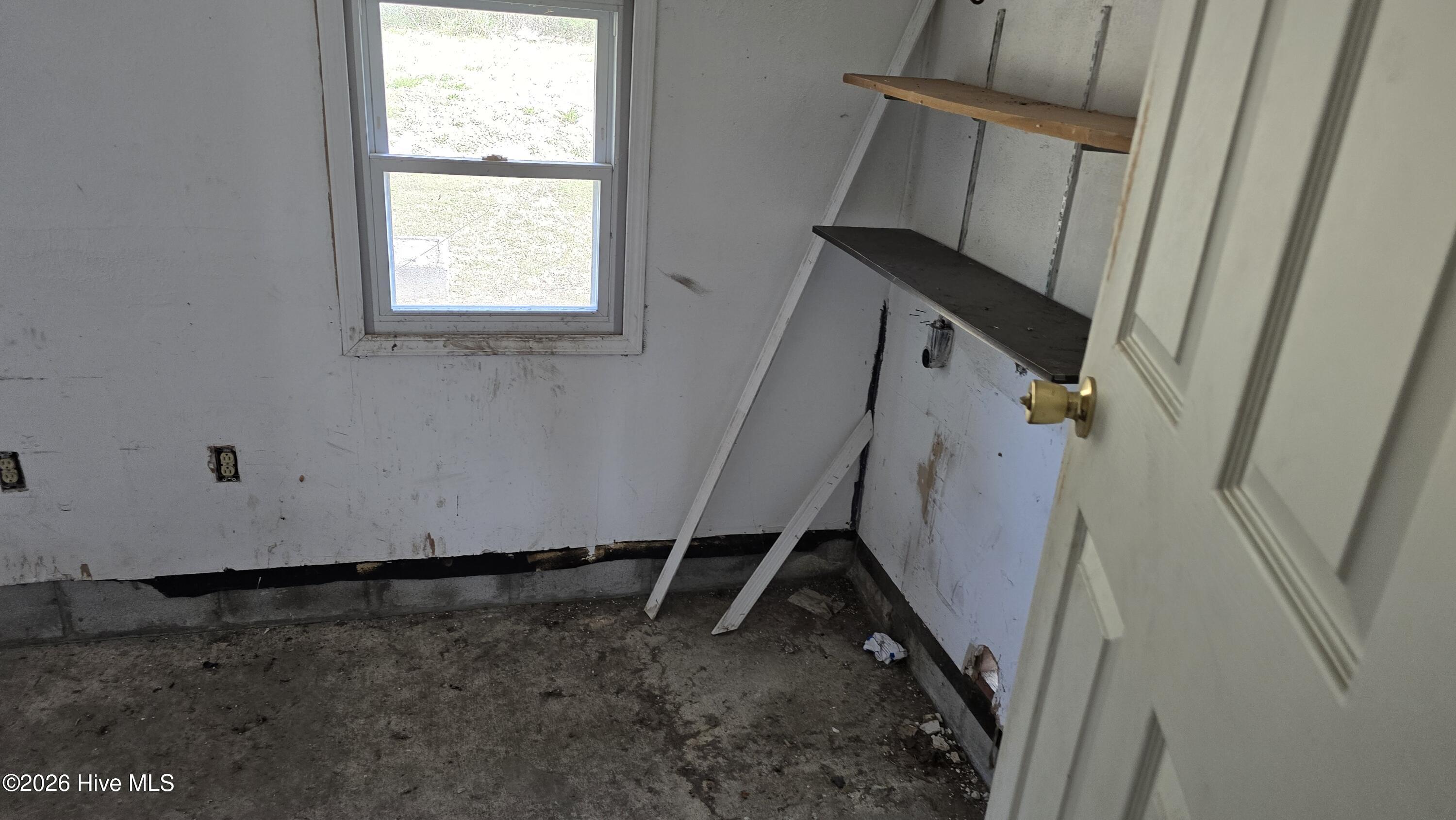 100561564 | Photo 27