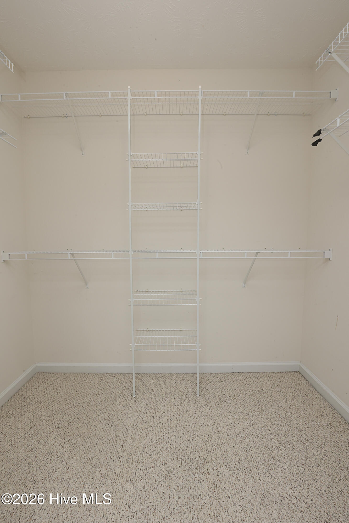 100581975 | Photo 26
