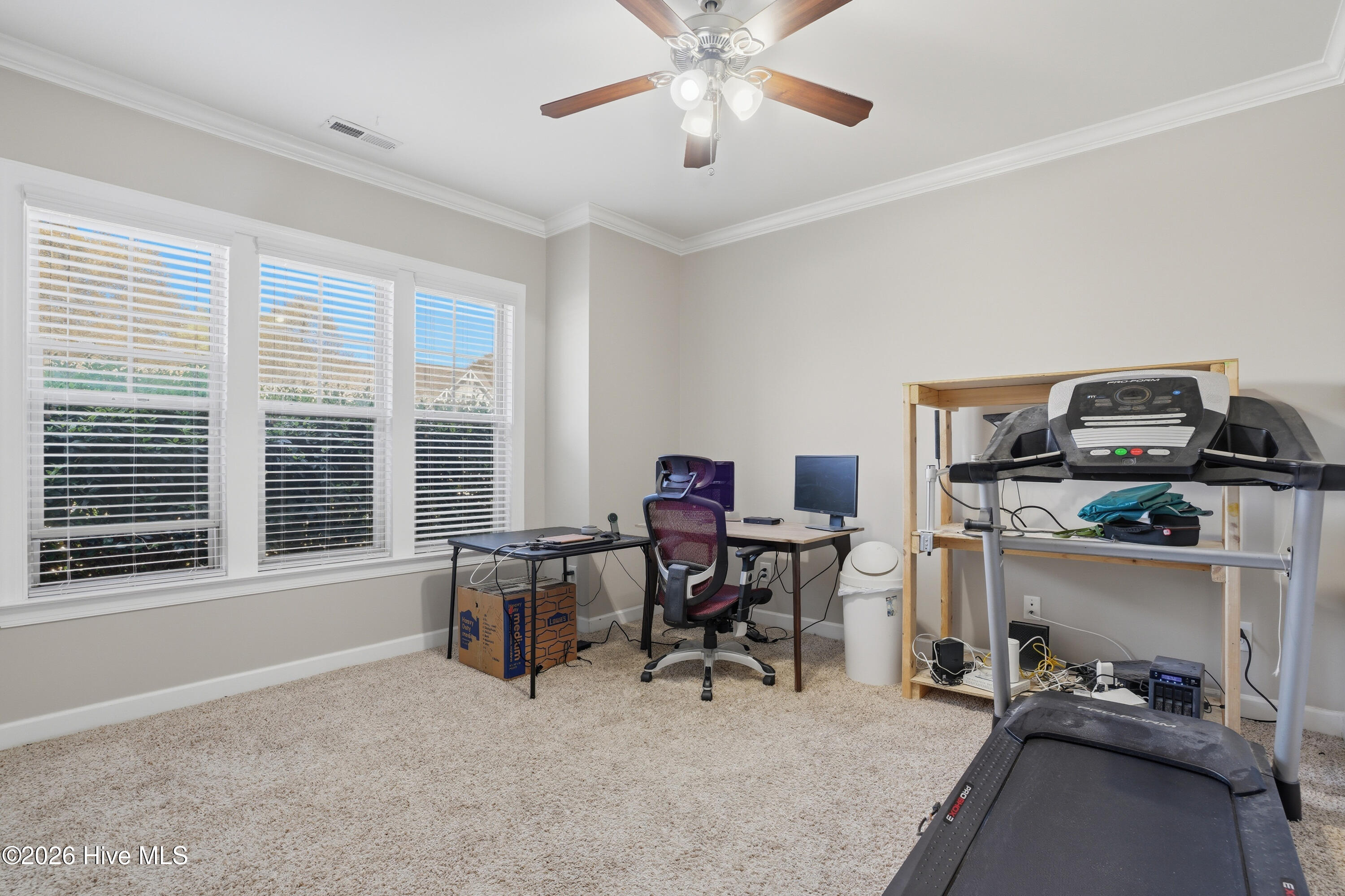 100564087 | Photo 13