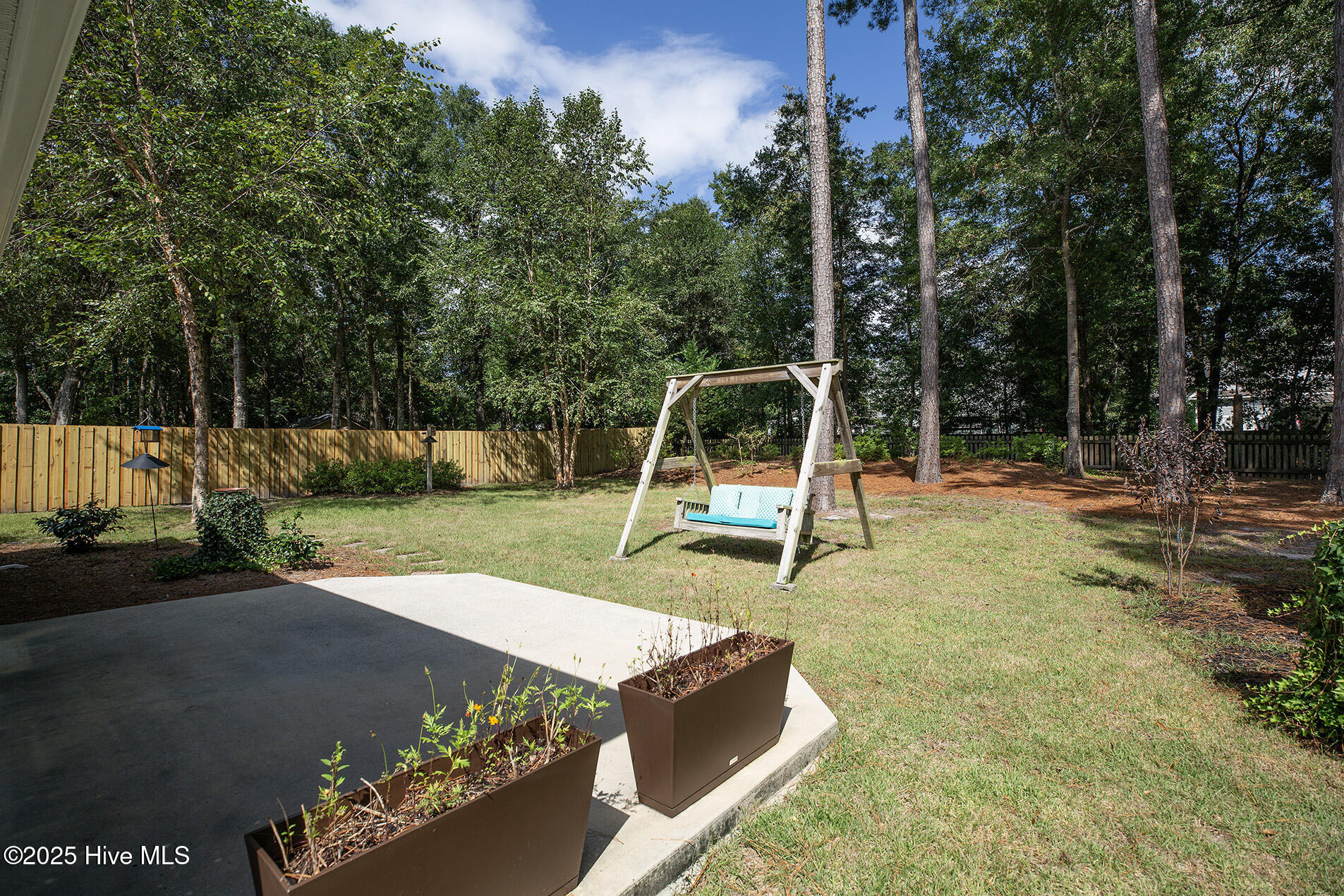 100525517 | Photo 47