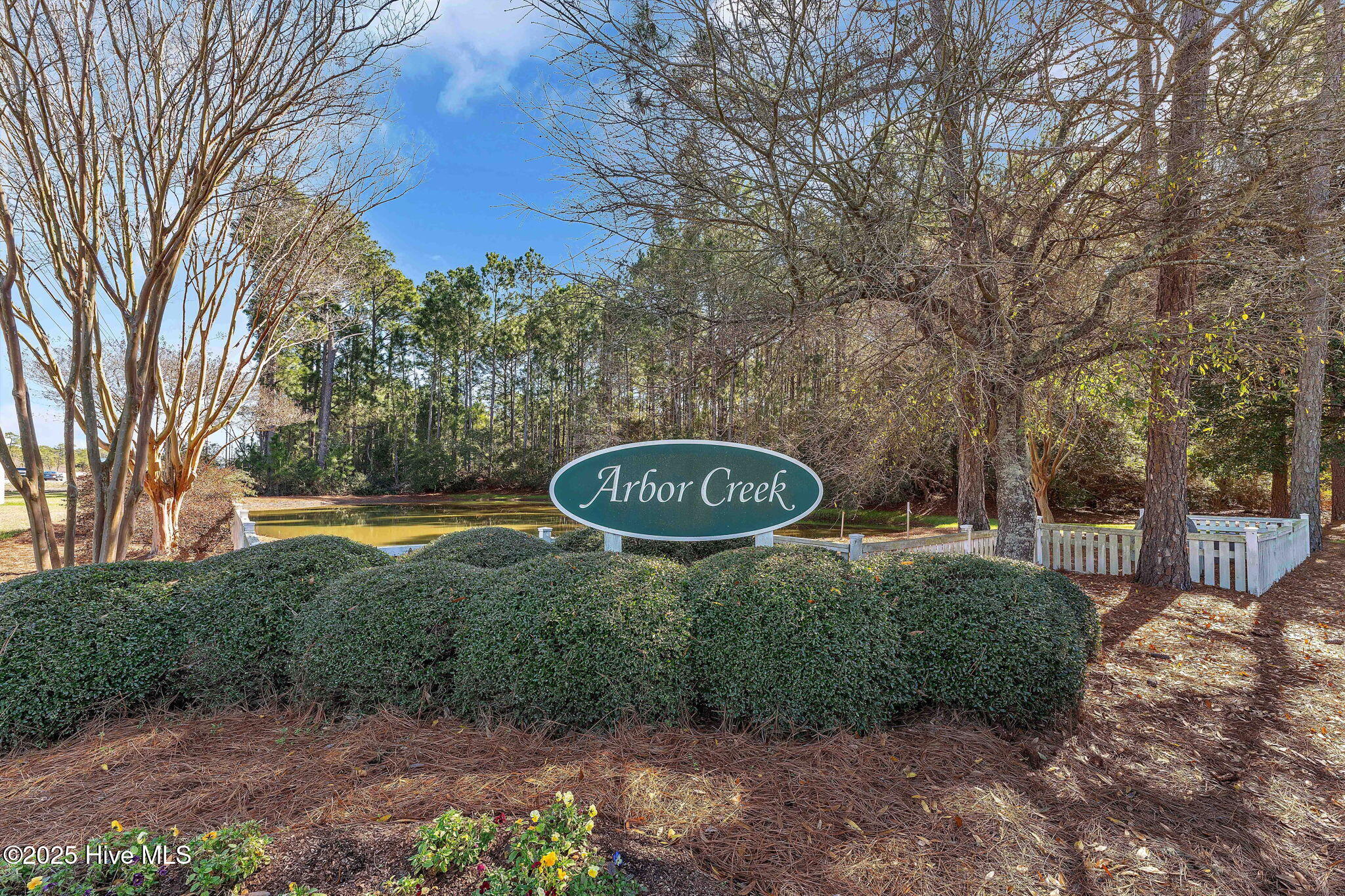 100523616 | Photo 46