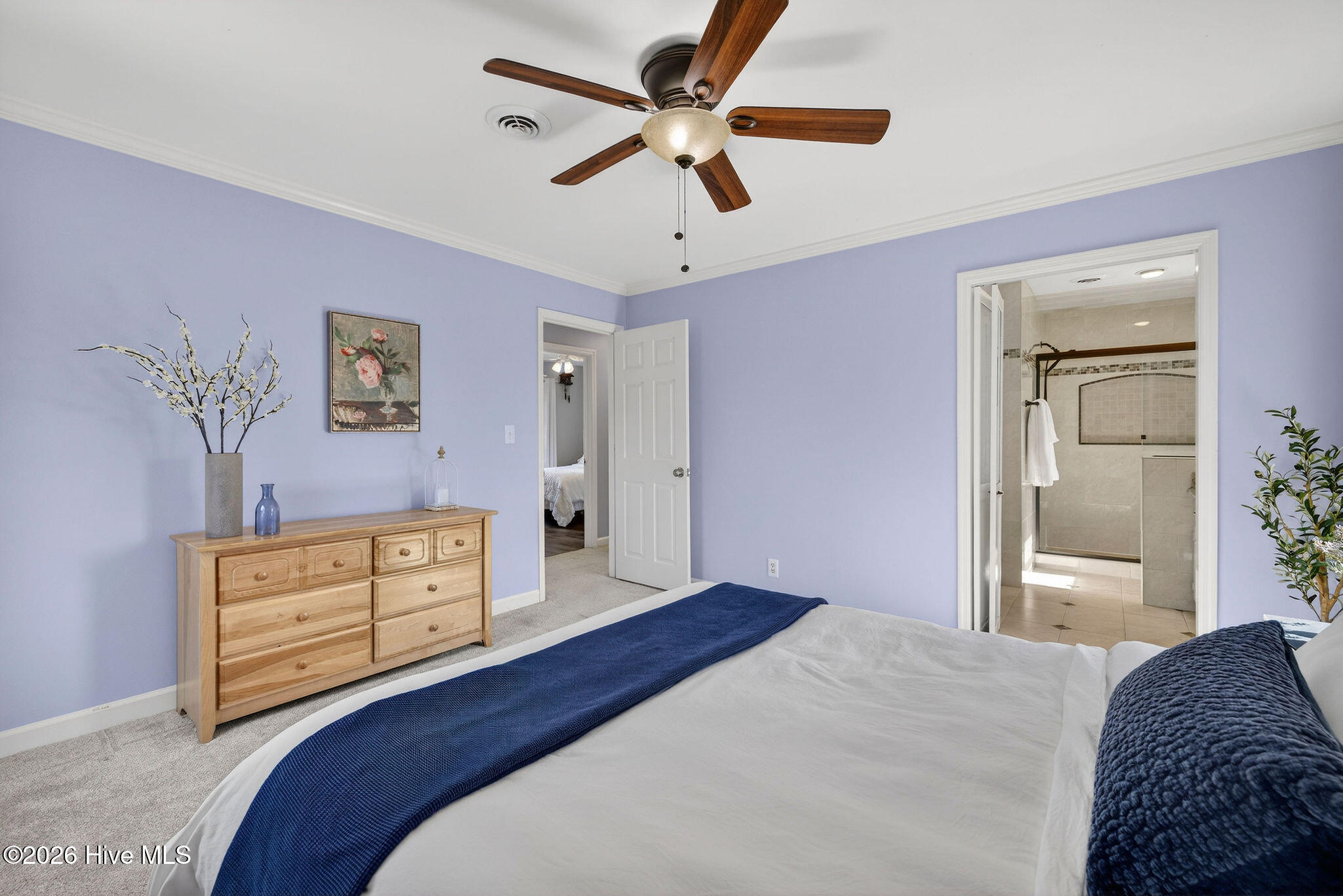 100556814 | Photo 18