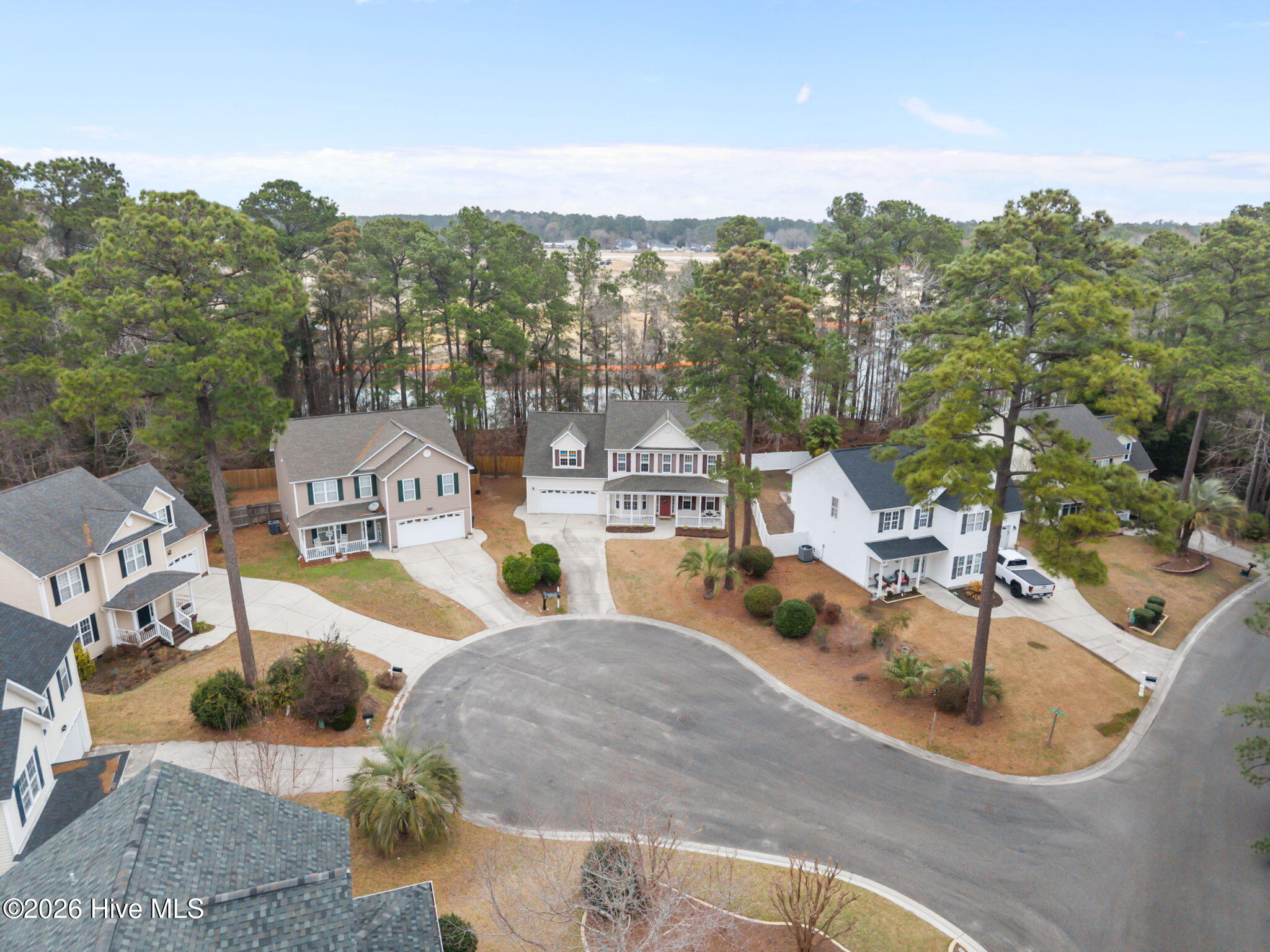 100558076 | Photo 47