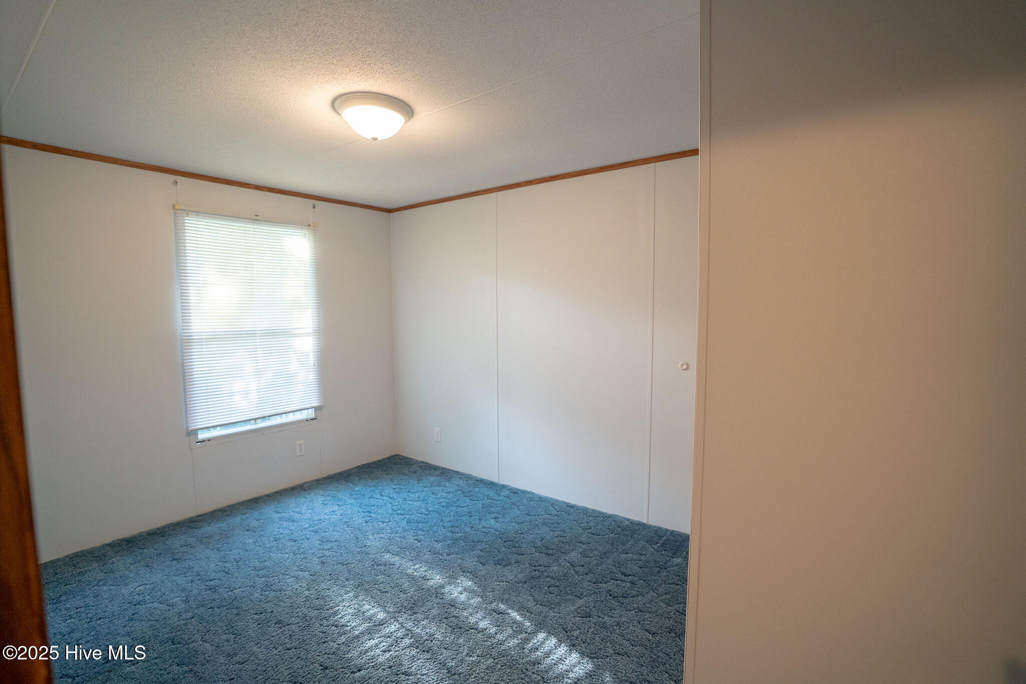 100513589 | Photo 18