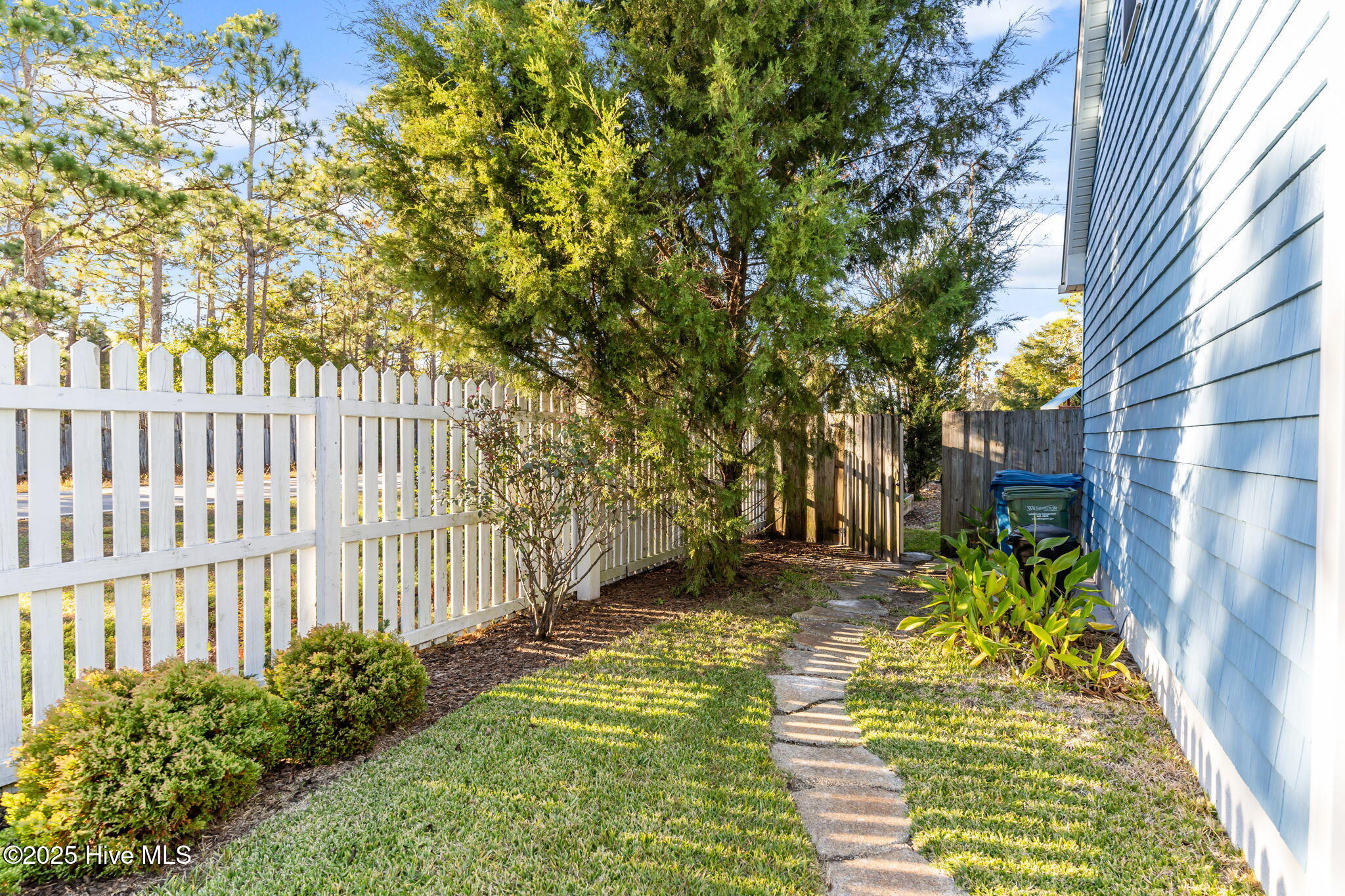 100539948 | Photo 43