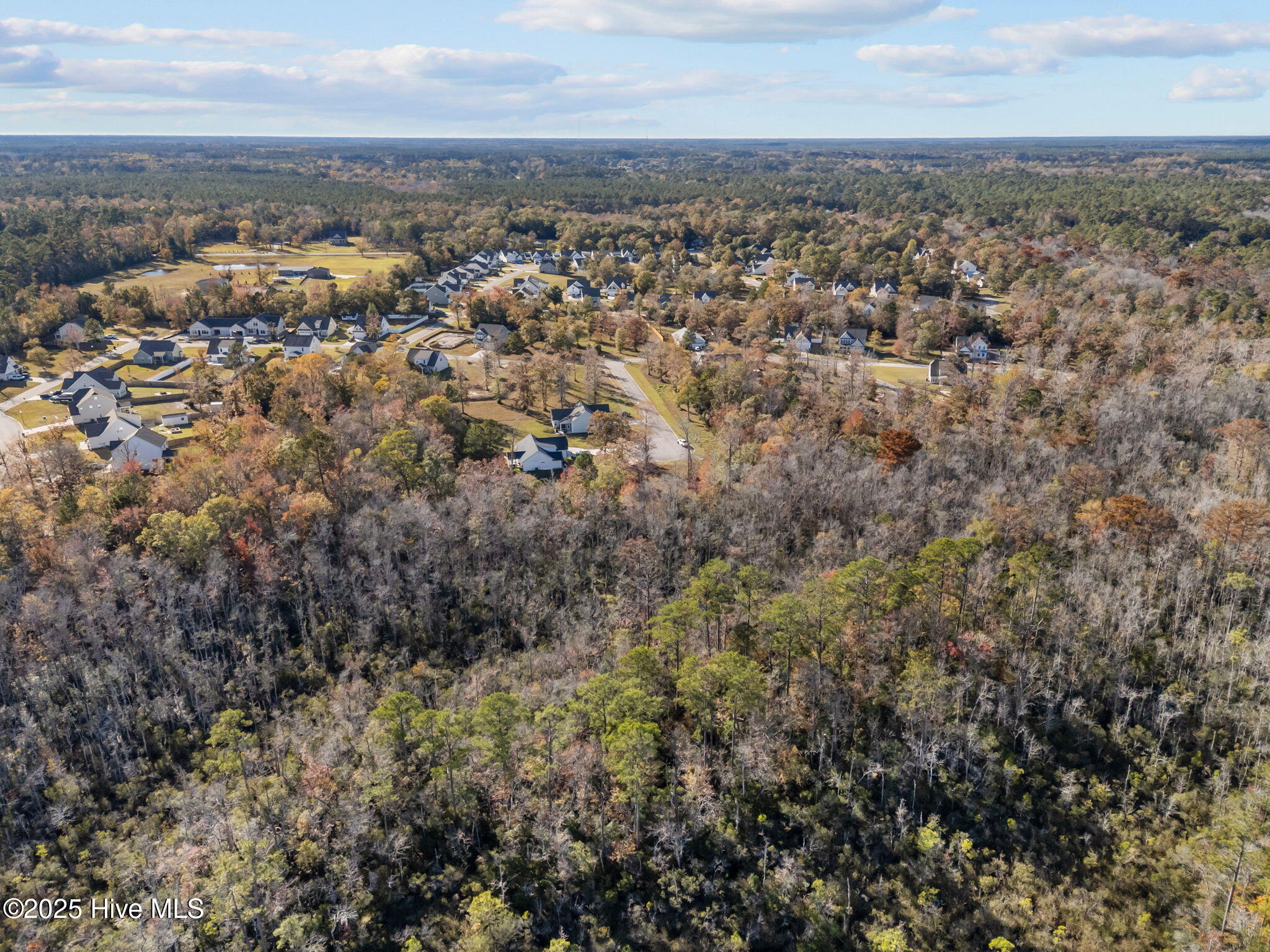 100540368 | Photo 17