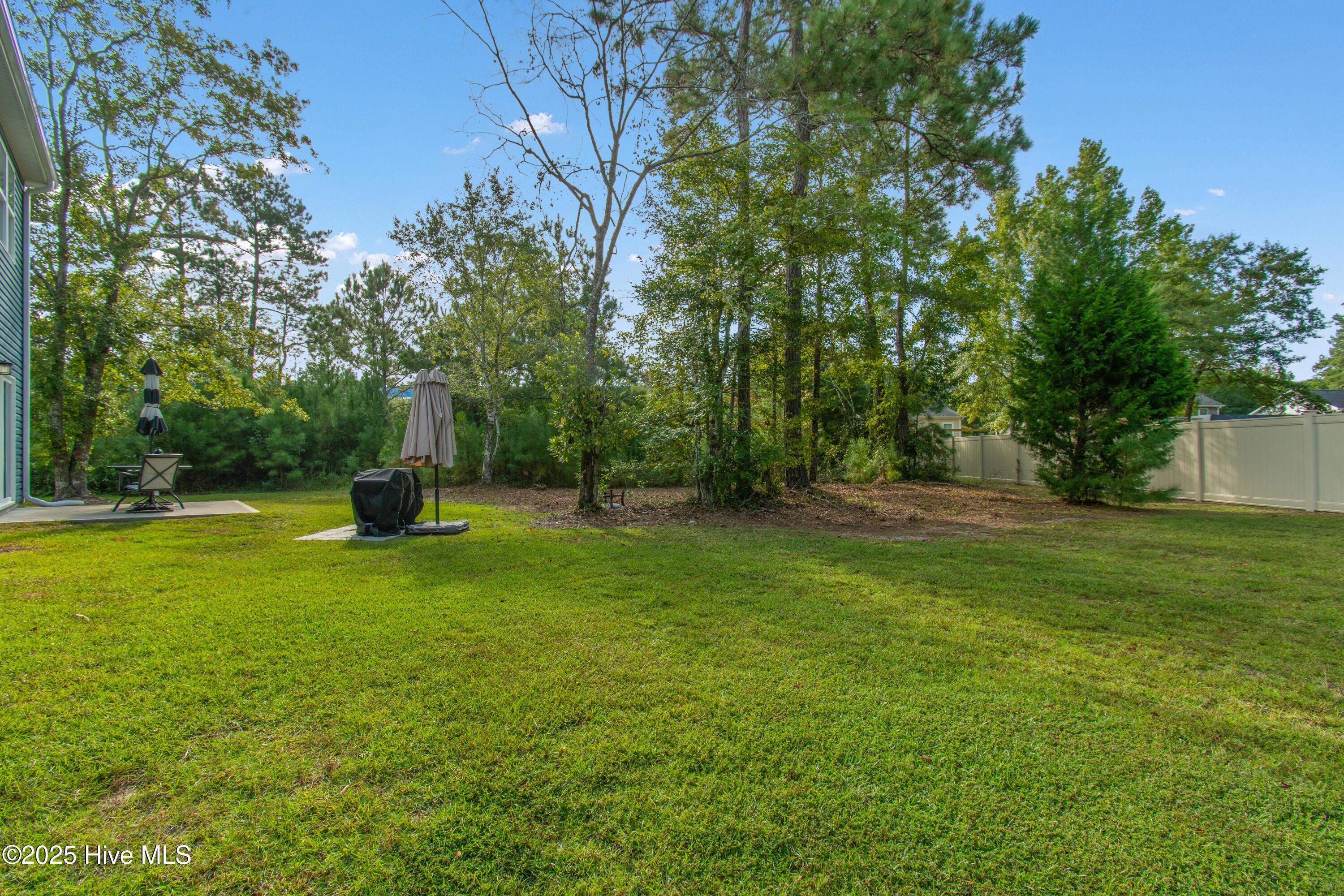 100530702 | Photo 32