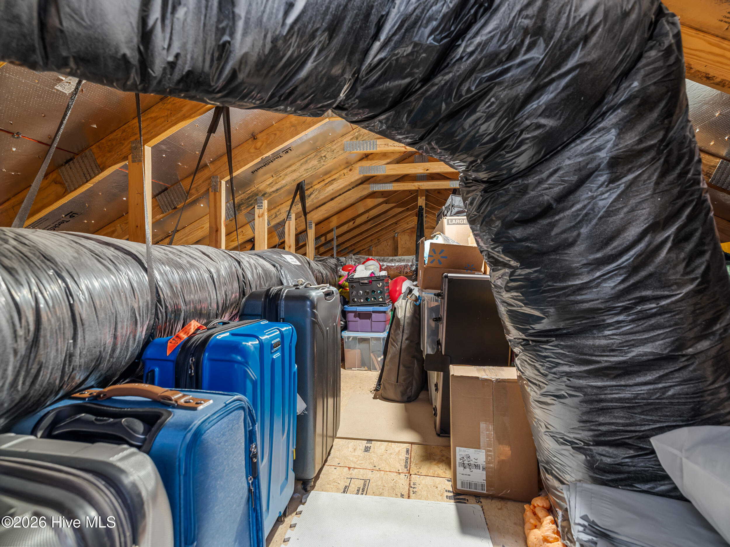 100558096 | Photo 53