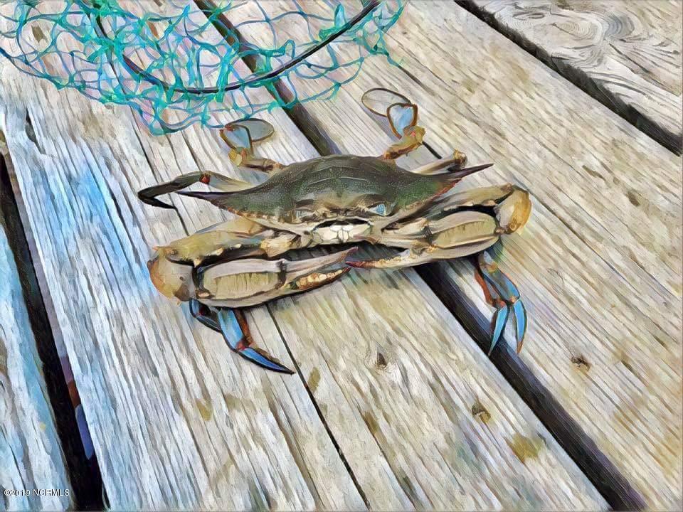 Catch Crab Dinner right from your dock