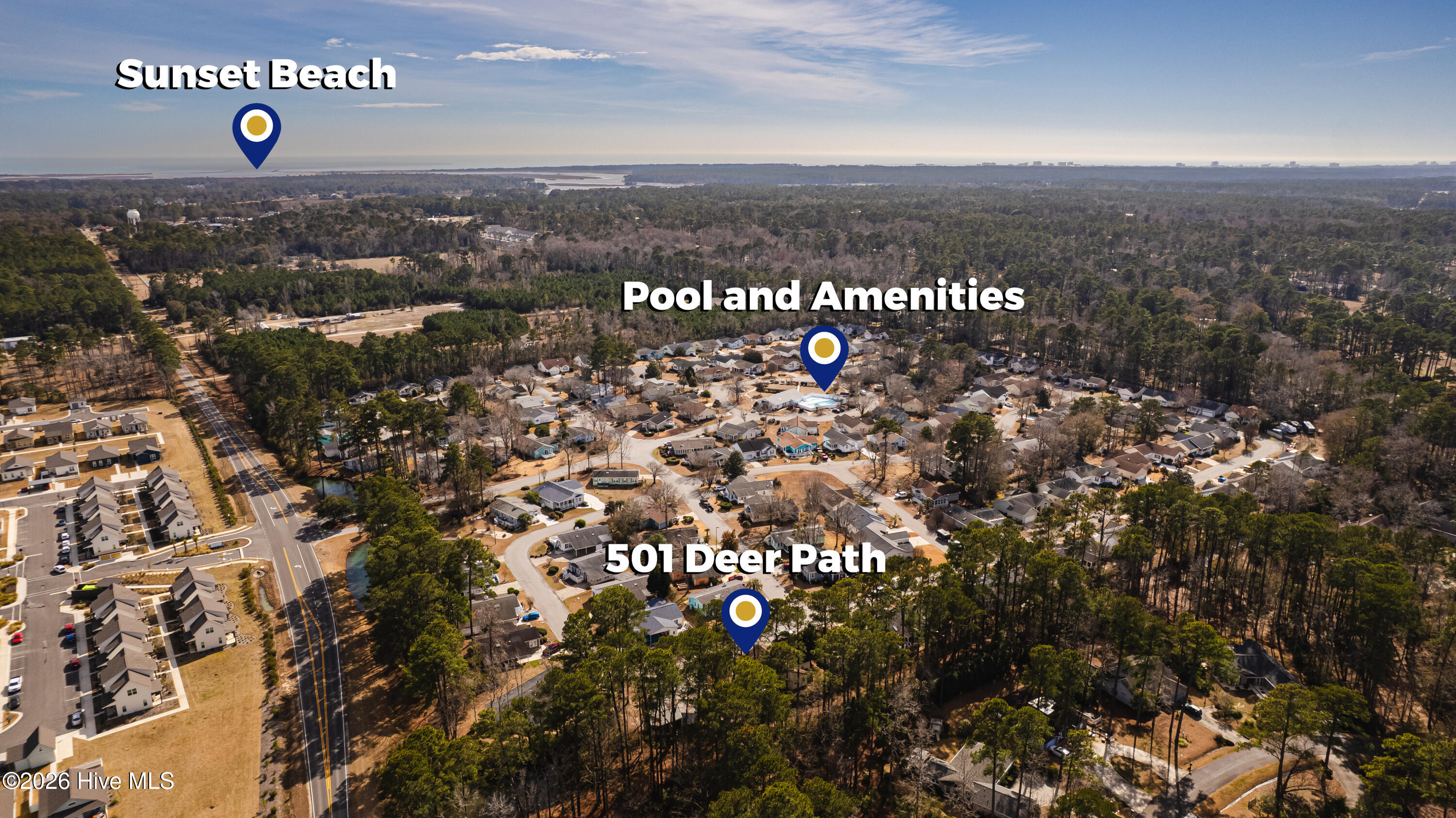 100555221 | Photo 38