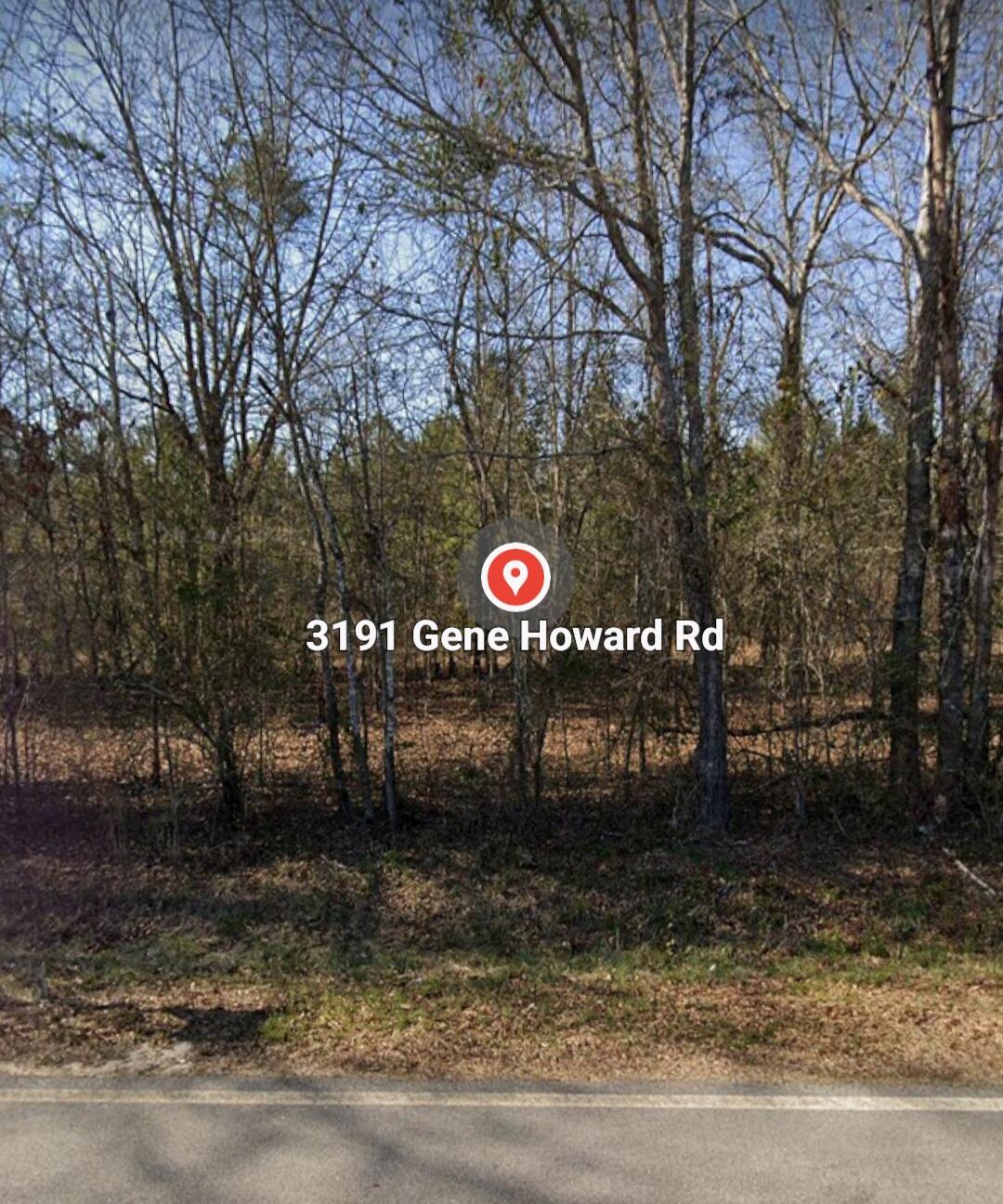 3191 GENE HOWARD Road, Stapleton, GA, 30823