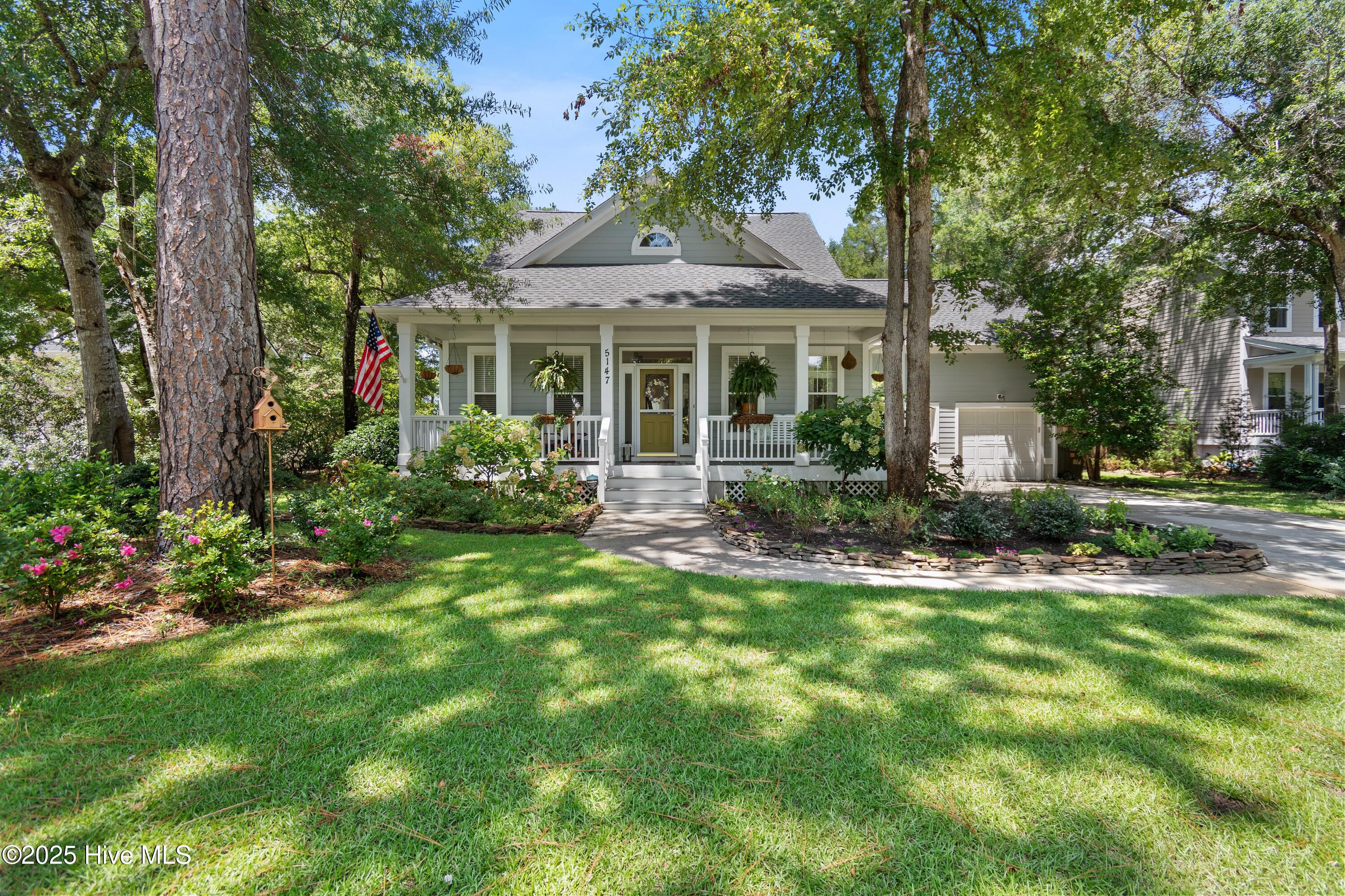 100522421 | Photo 64