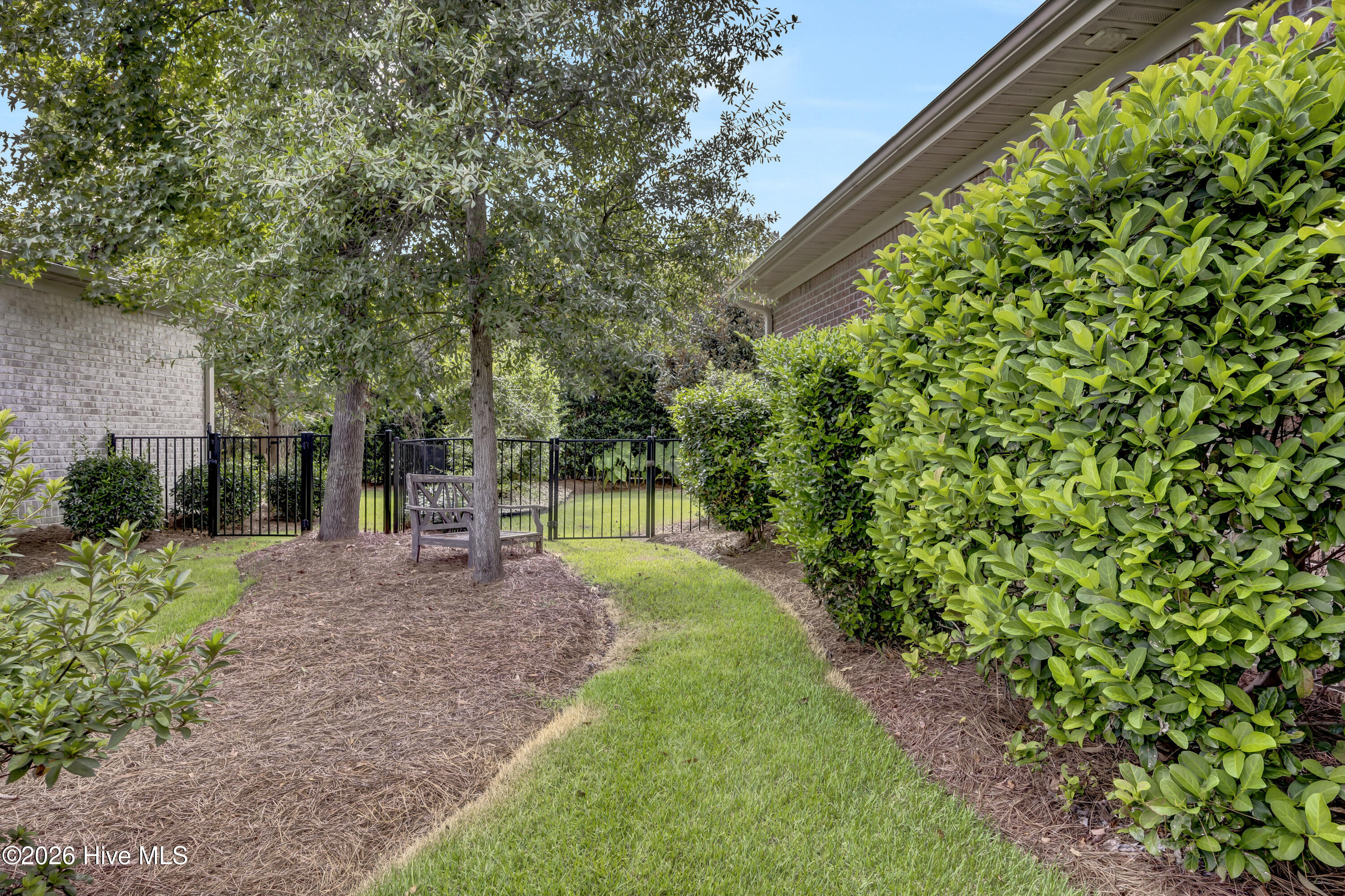 100555264 | Photo 49