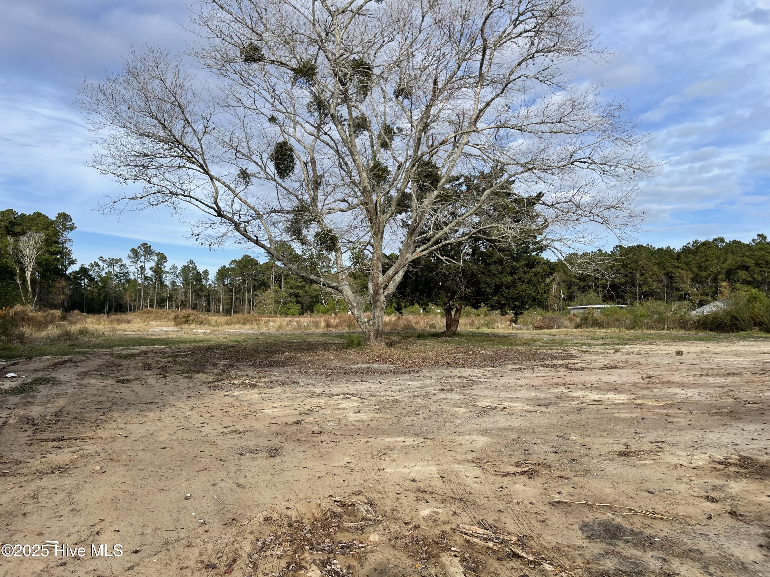 100496584 | Photo 28