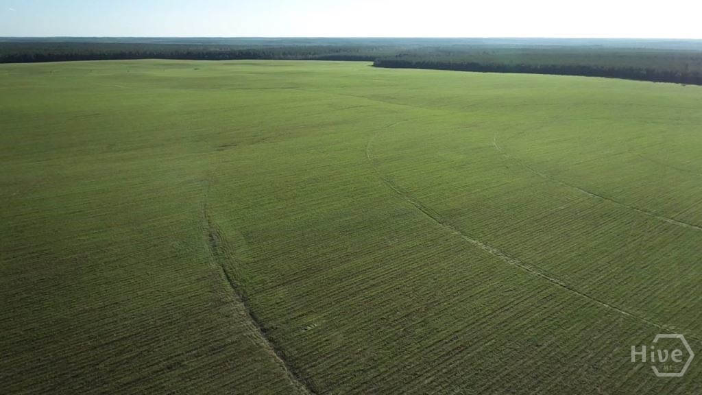 Undisclosed Address, Keysville, GA, 30805