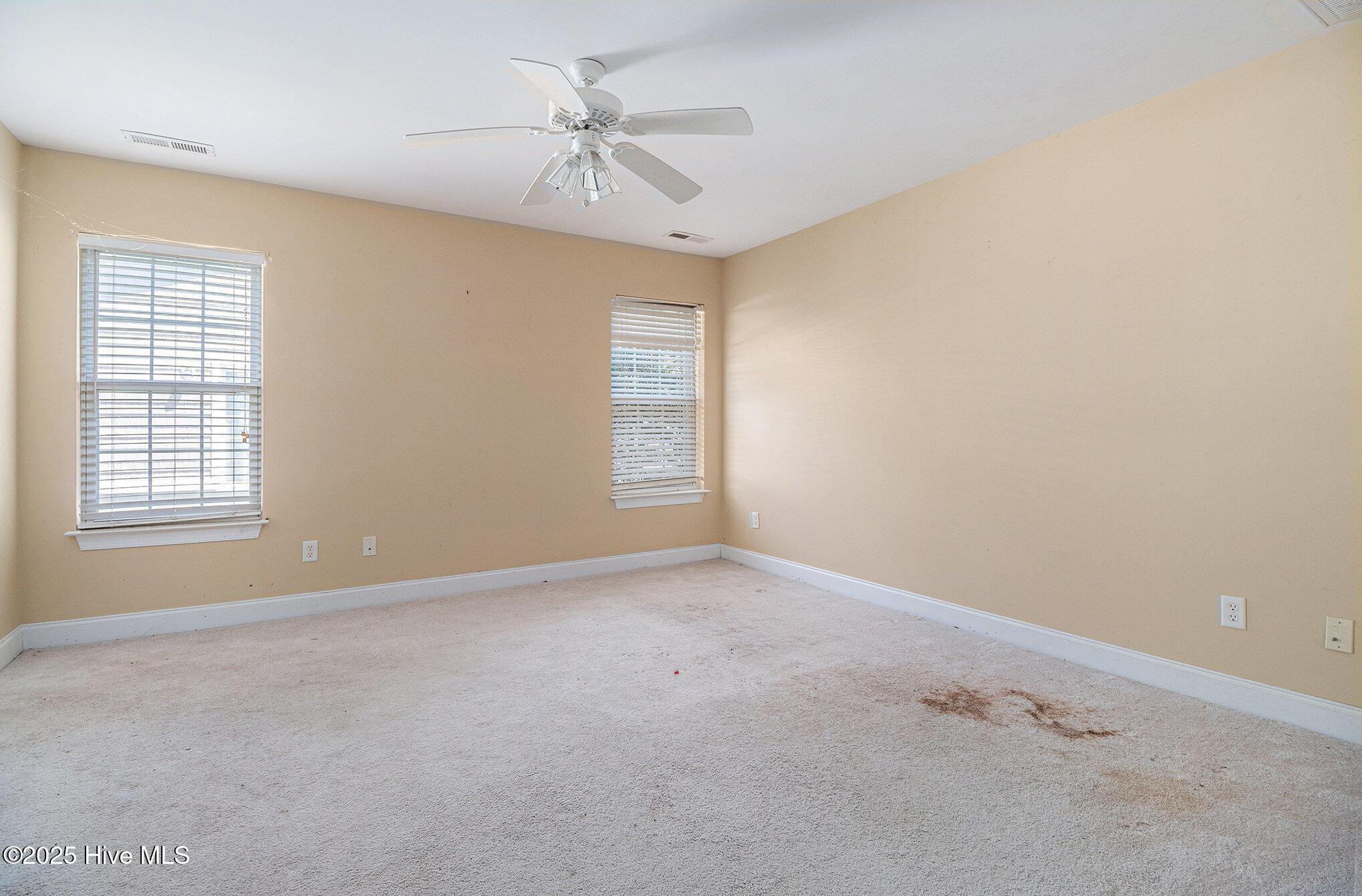 100526069 | Photo 12